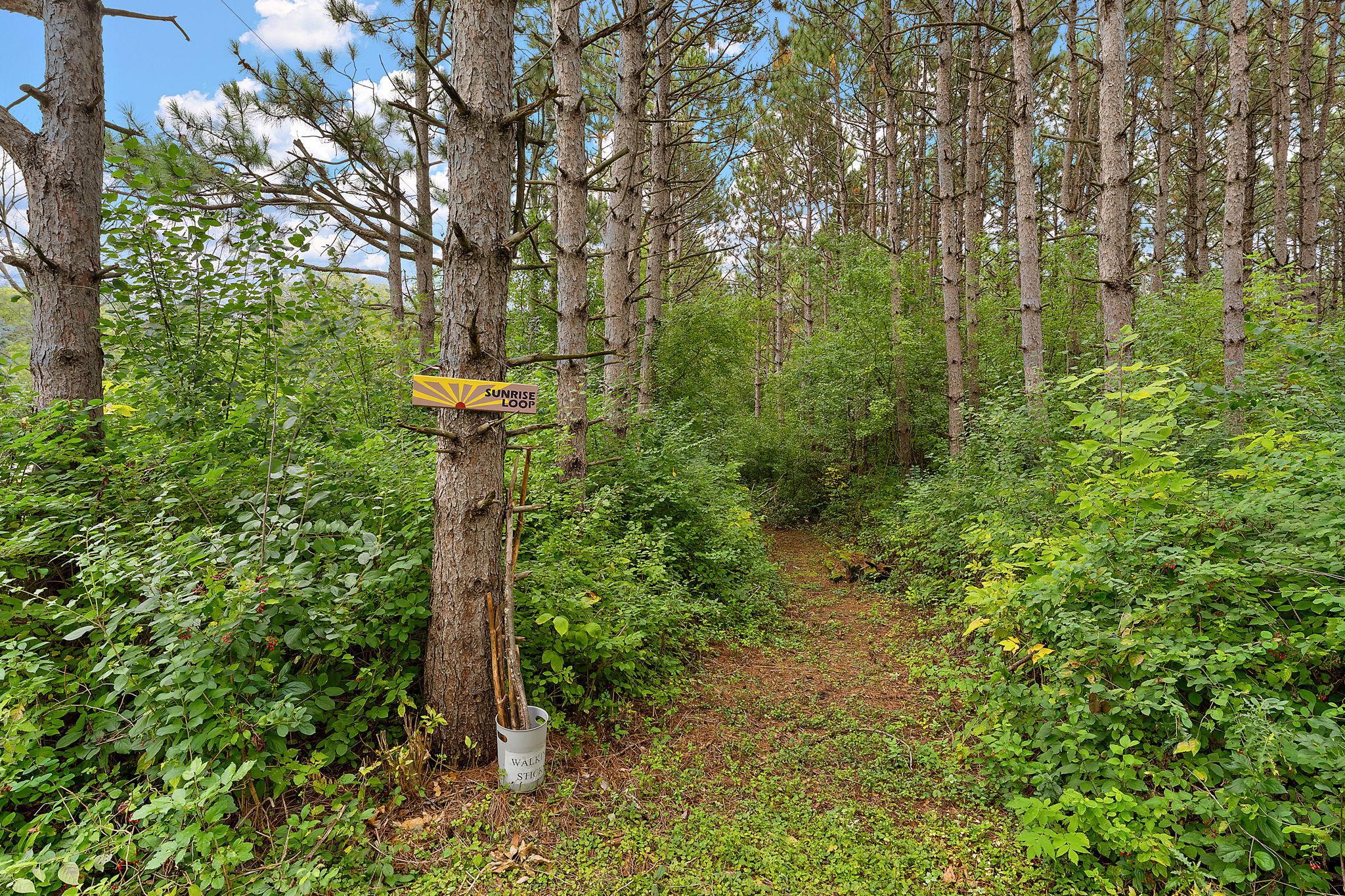 main property photo 42