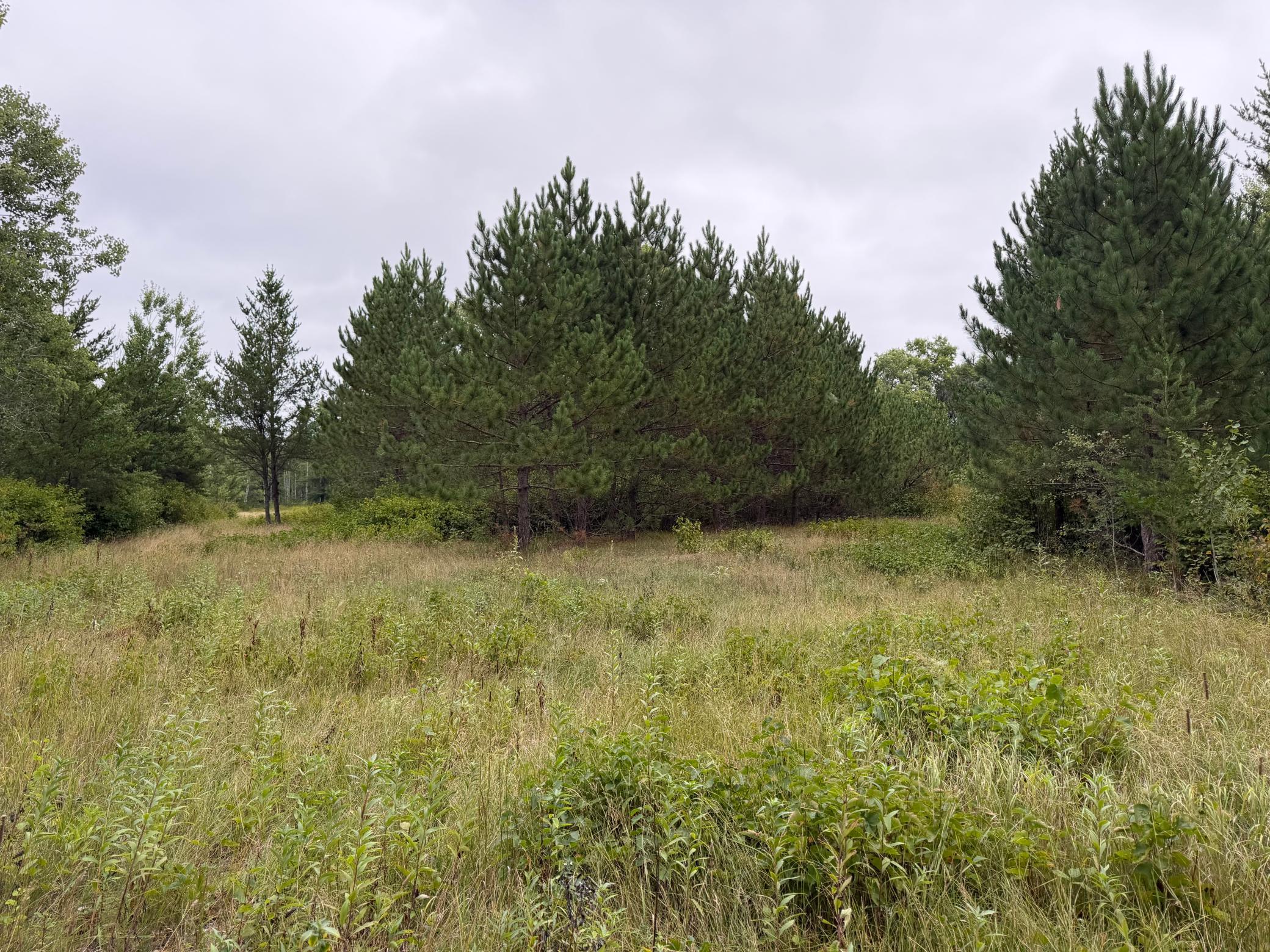 main property photo 40