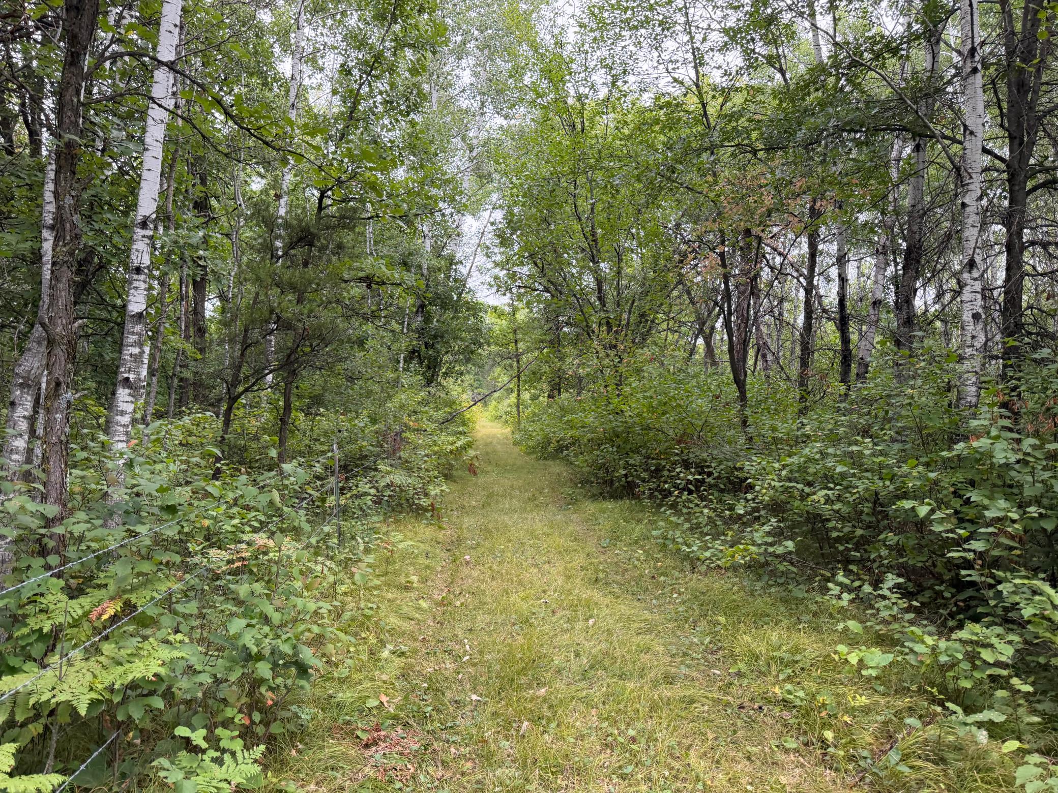 main property photo 42