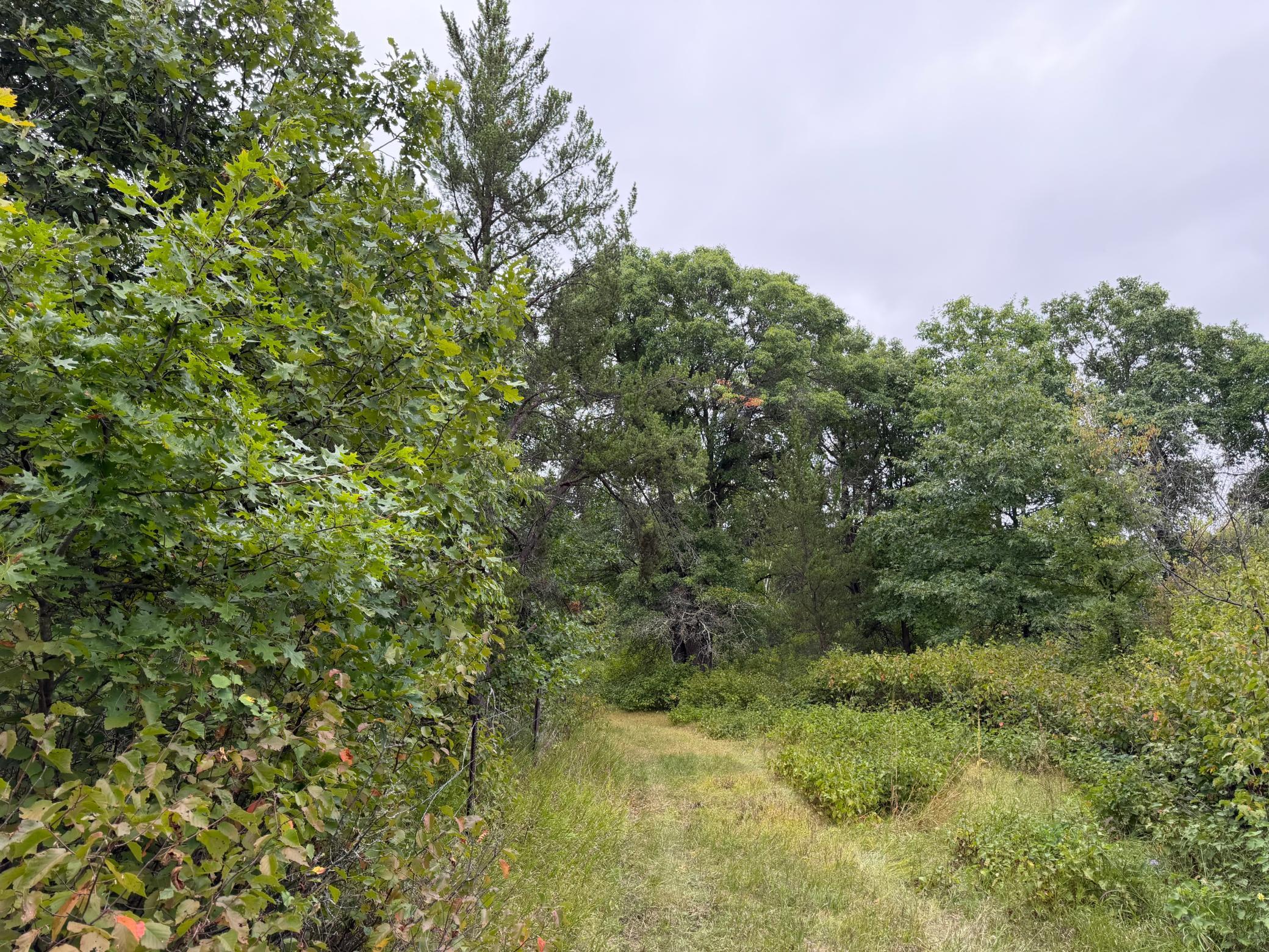 main property photo 43