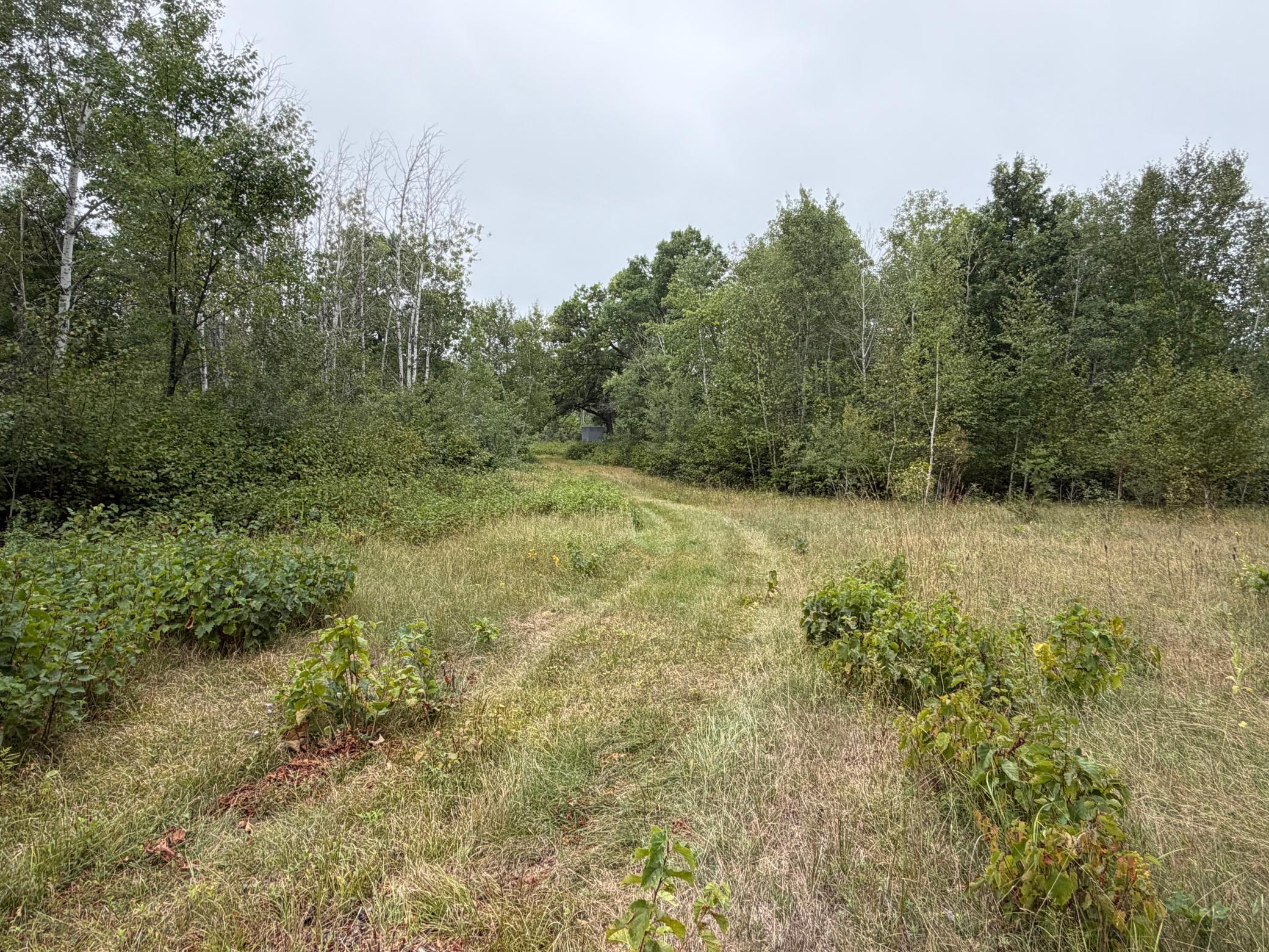 main property photo 49