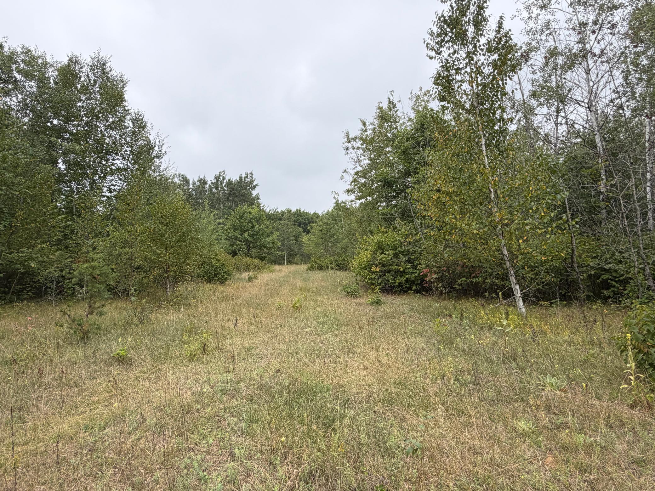 main property photo 50