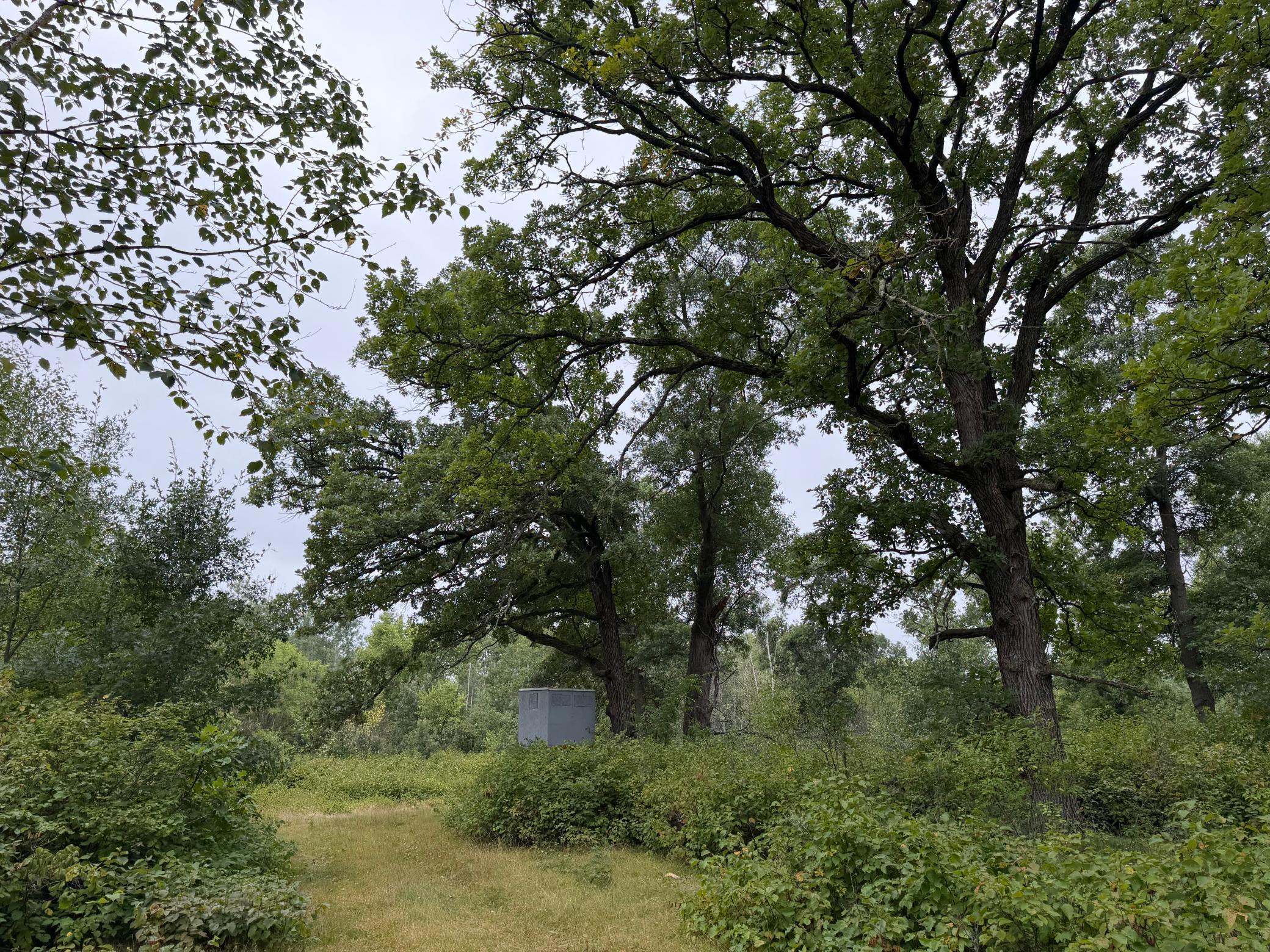 main property photo 51