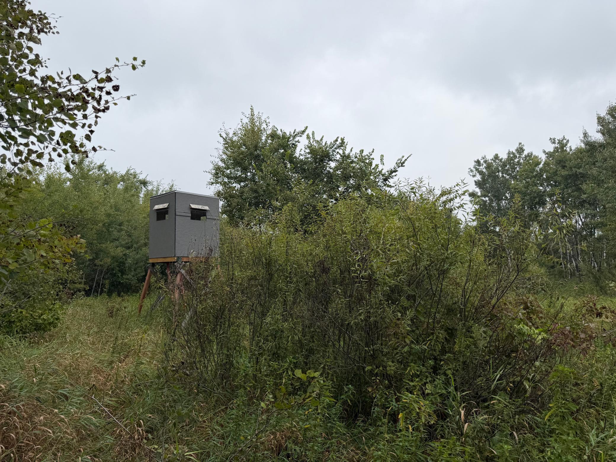 main property photo 55