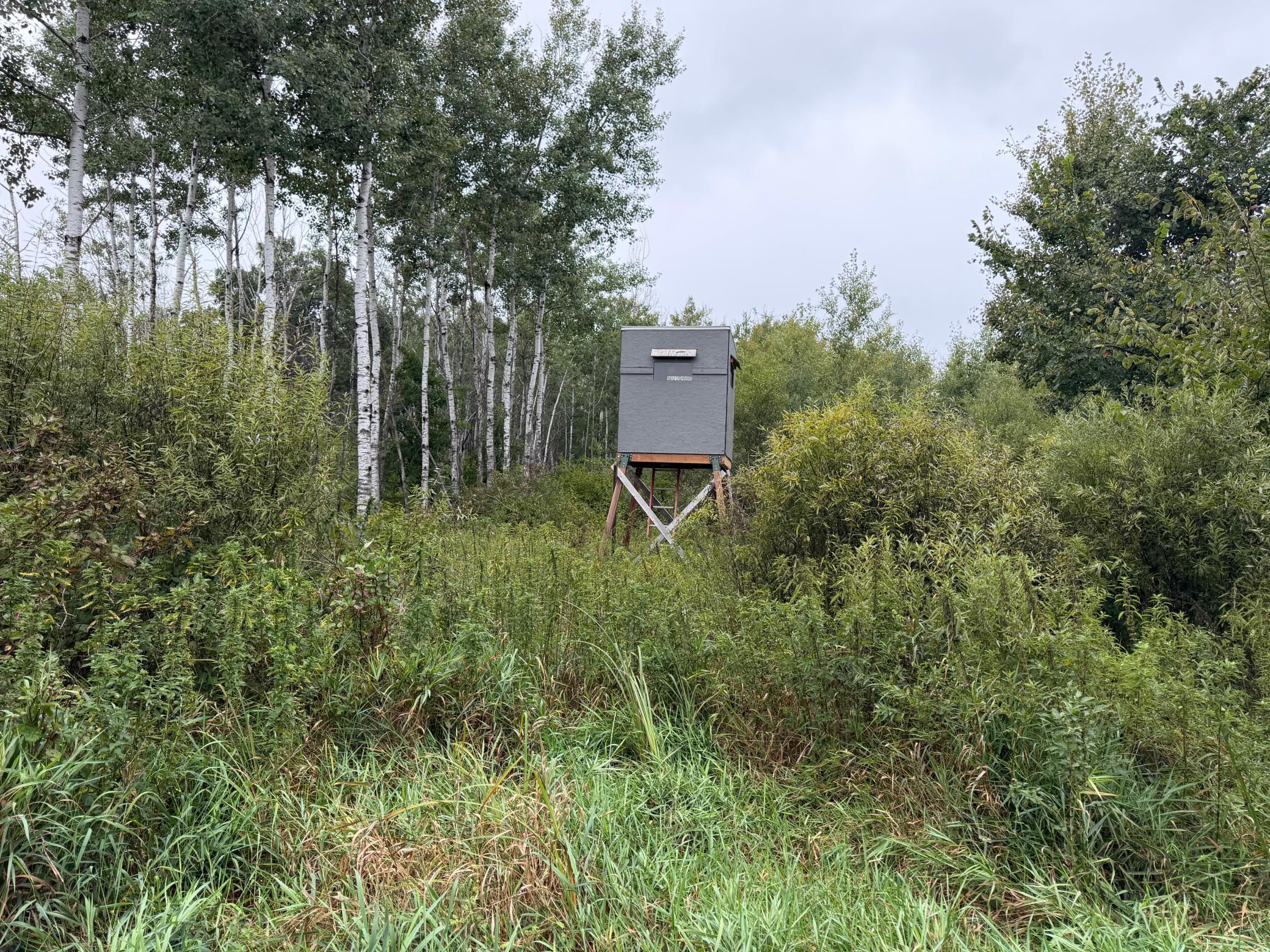 main property photo 56