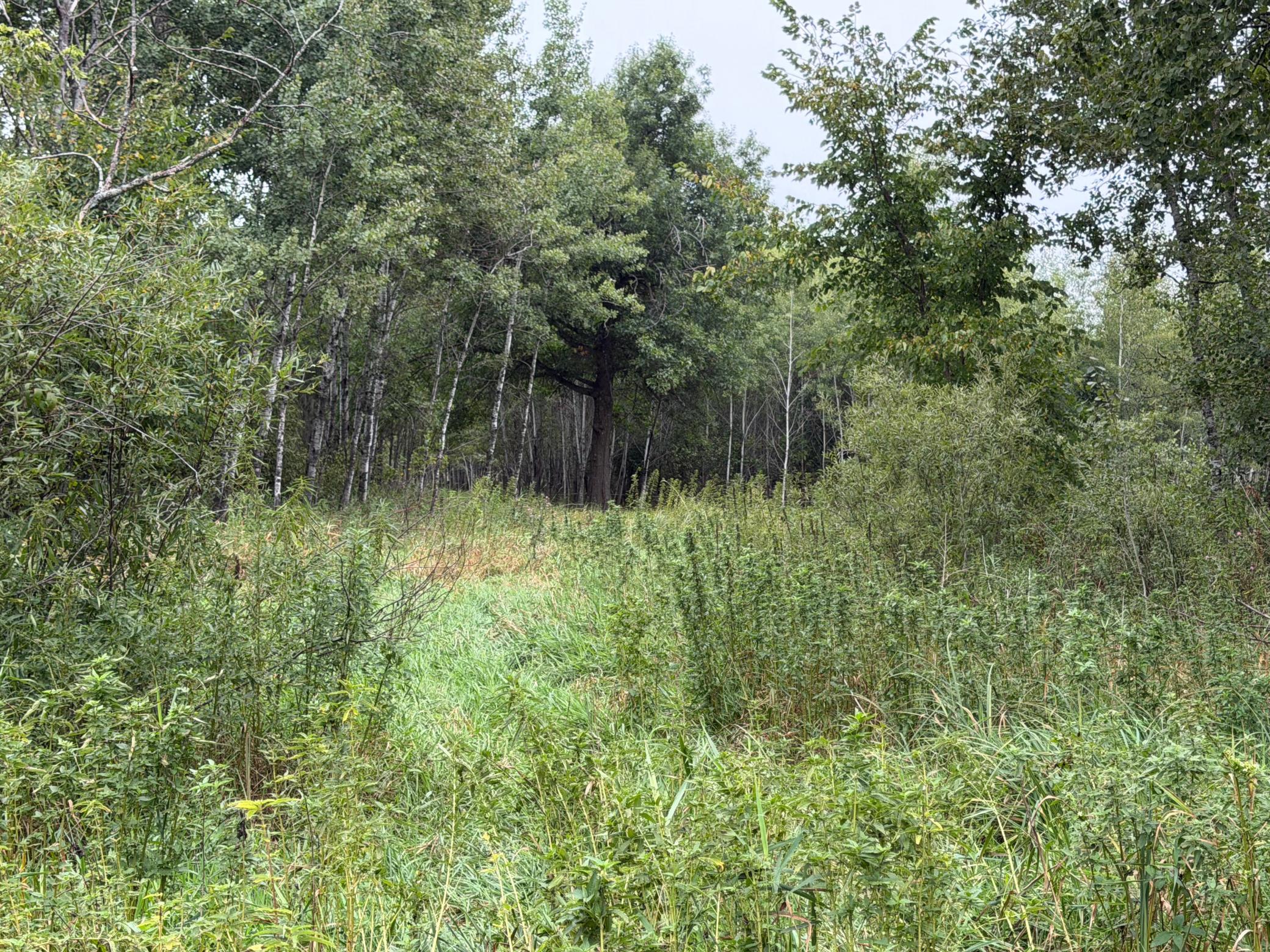 main property photo 57