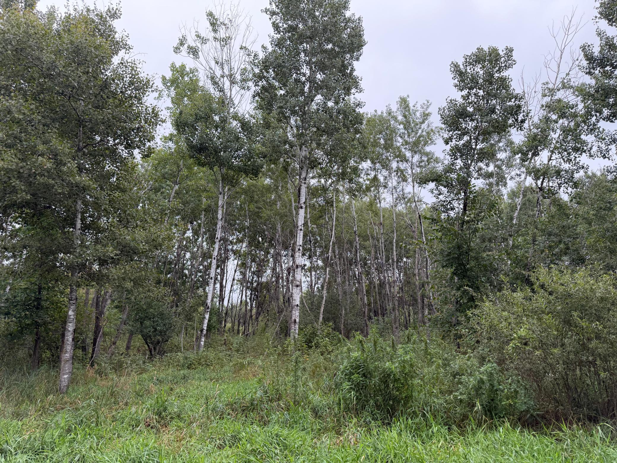 main property photo 58
