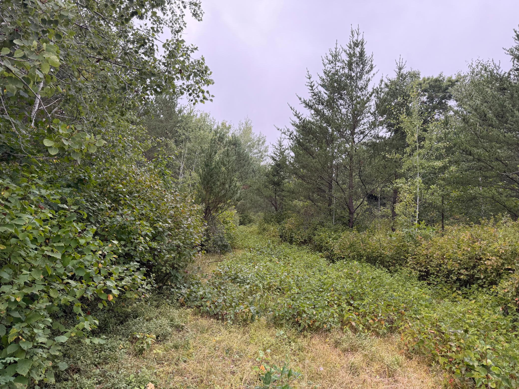main property photo 63