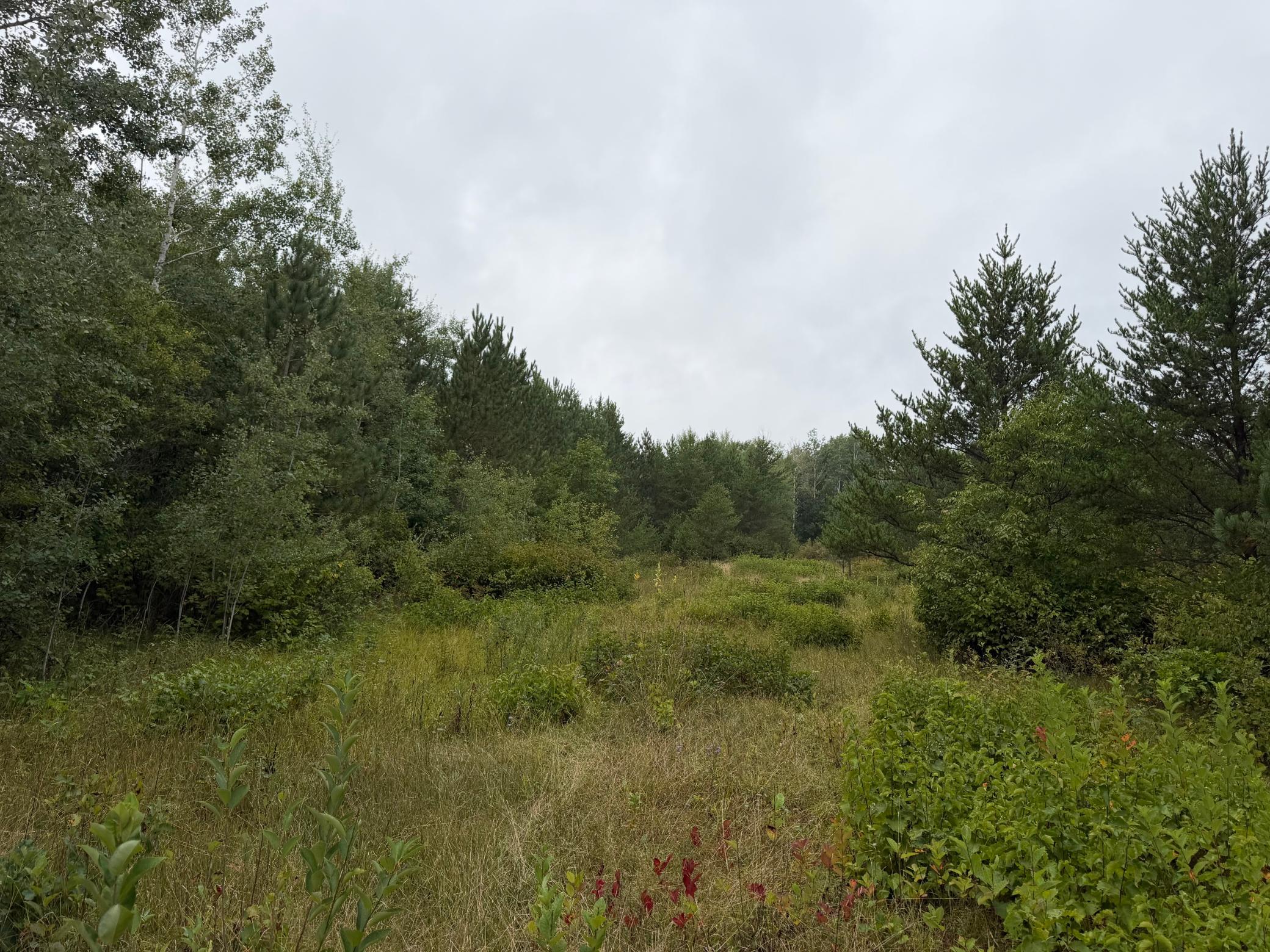 main property photo 64