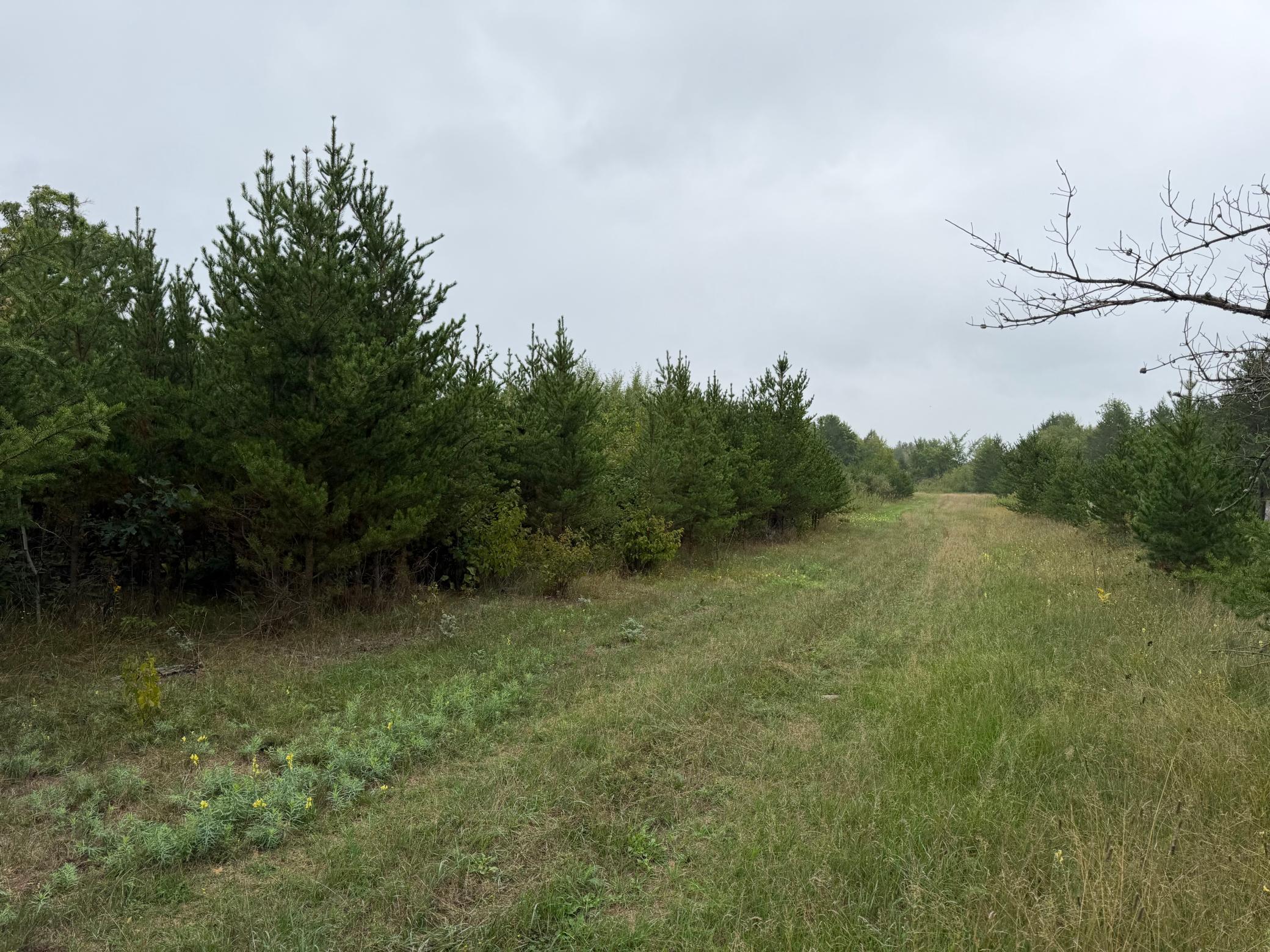 main property photo 66