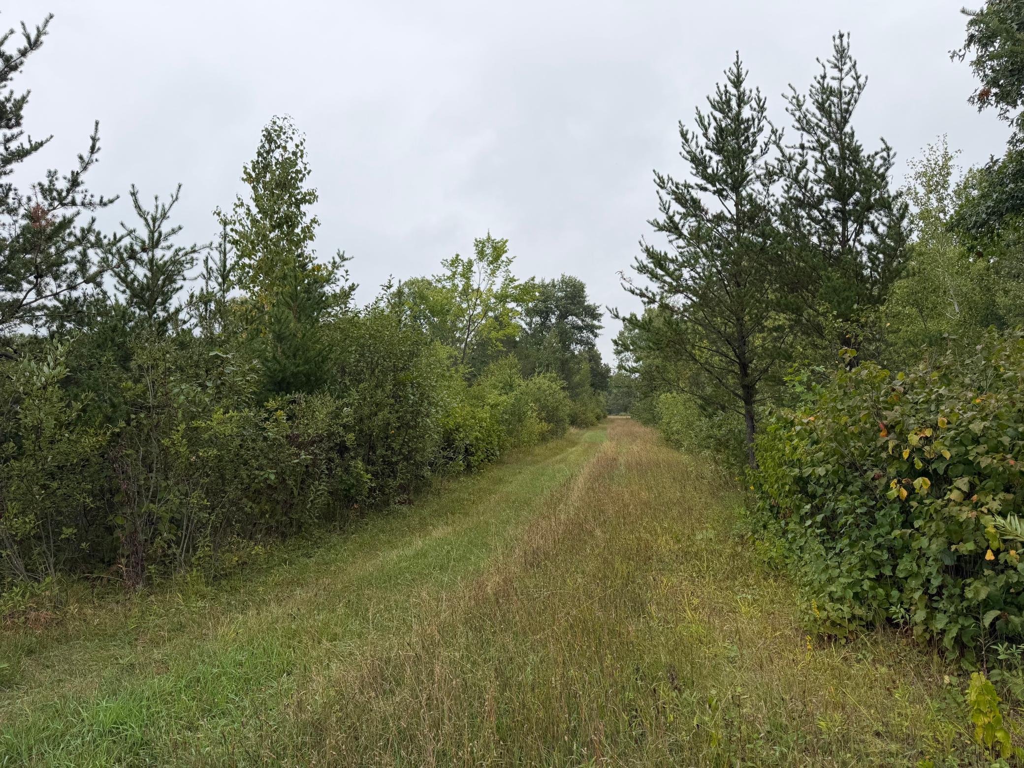 main property photo 67
