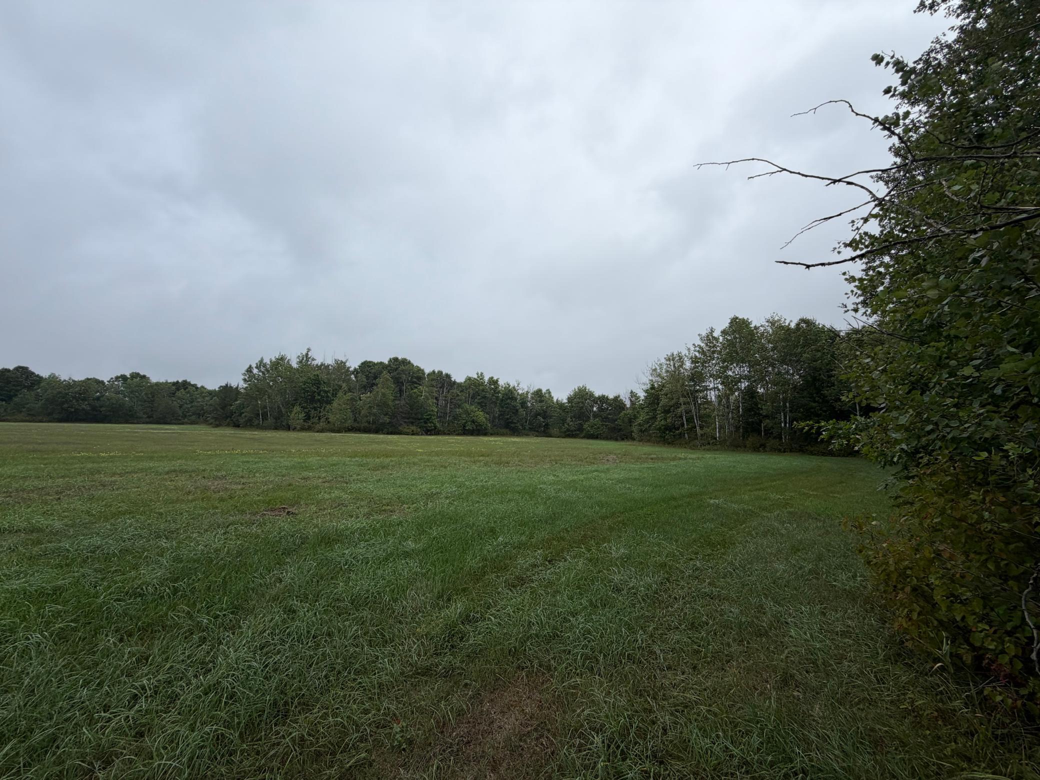 main property photo 68