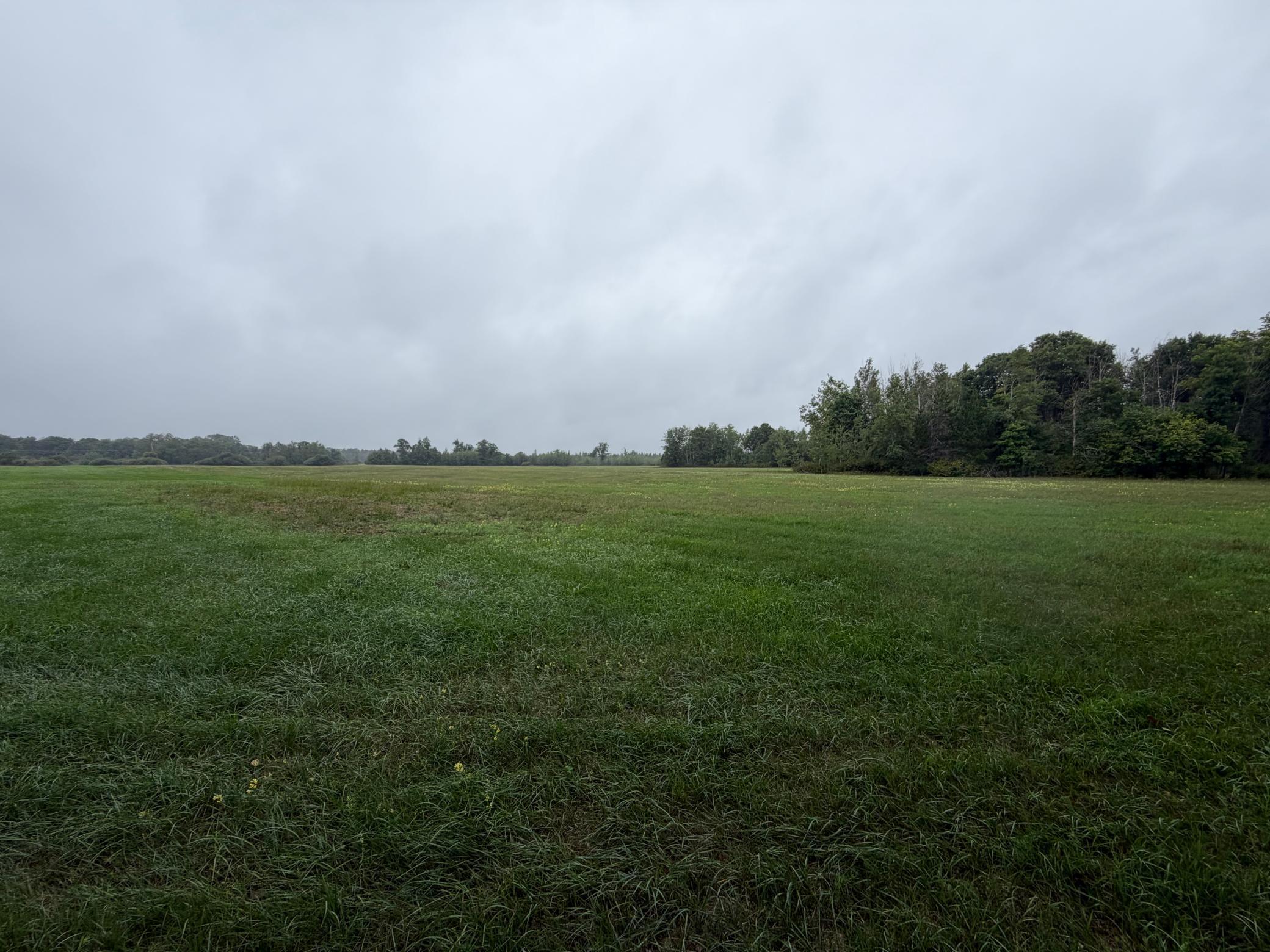 main property photo 69