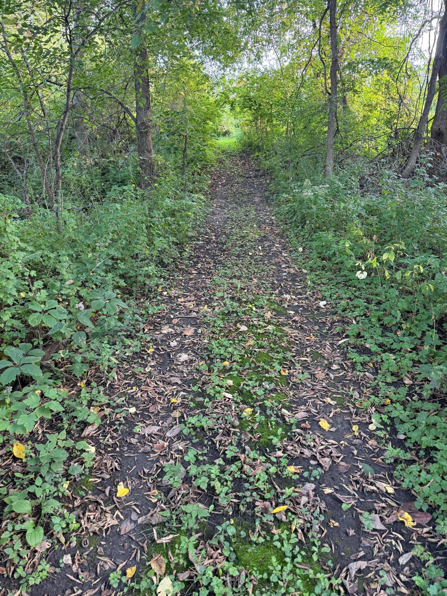 main property photo 13