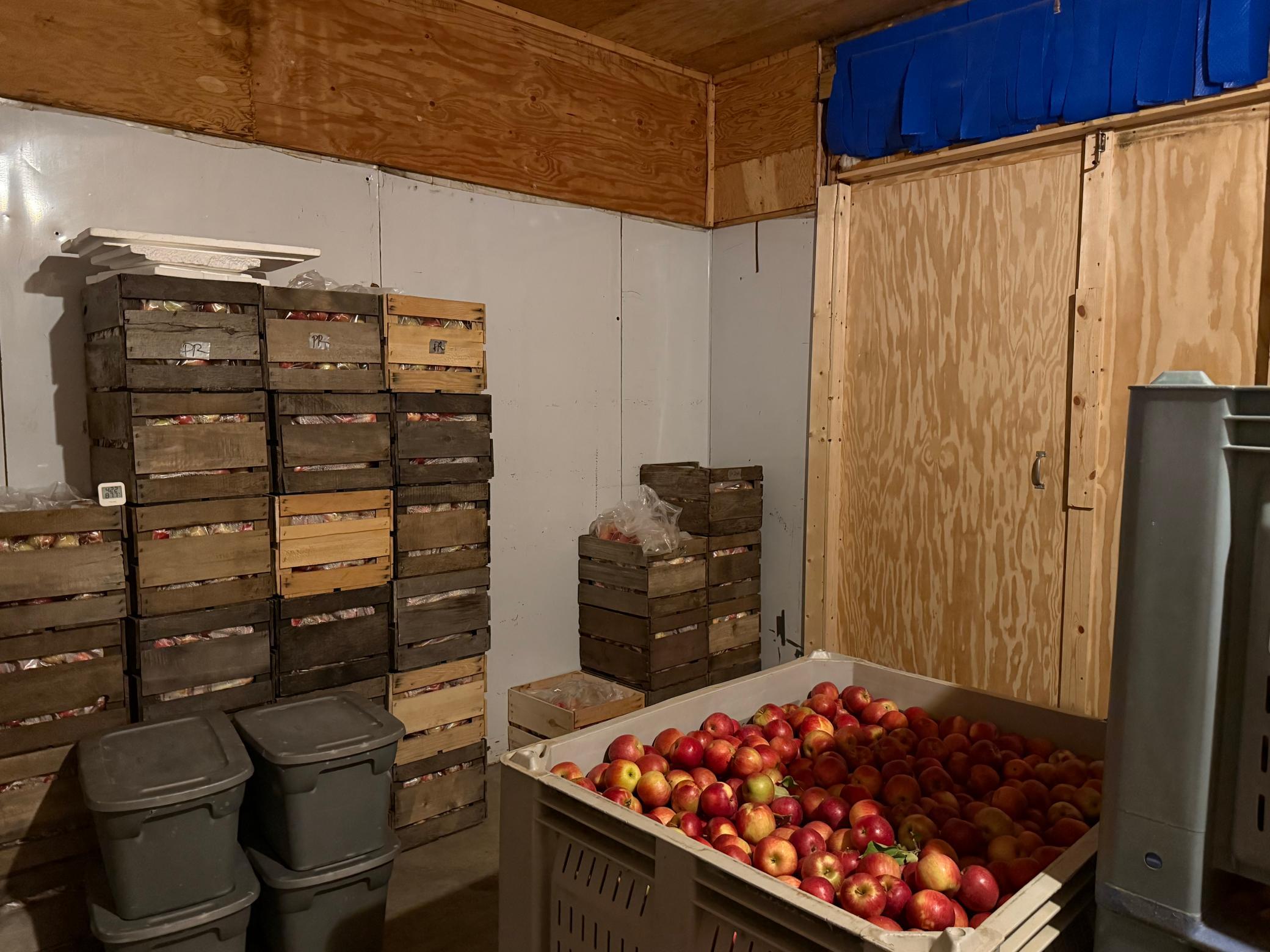 main property photo 53