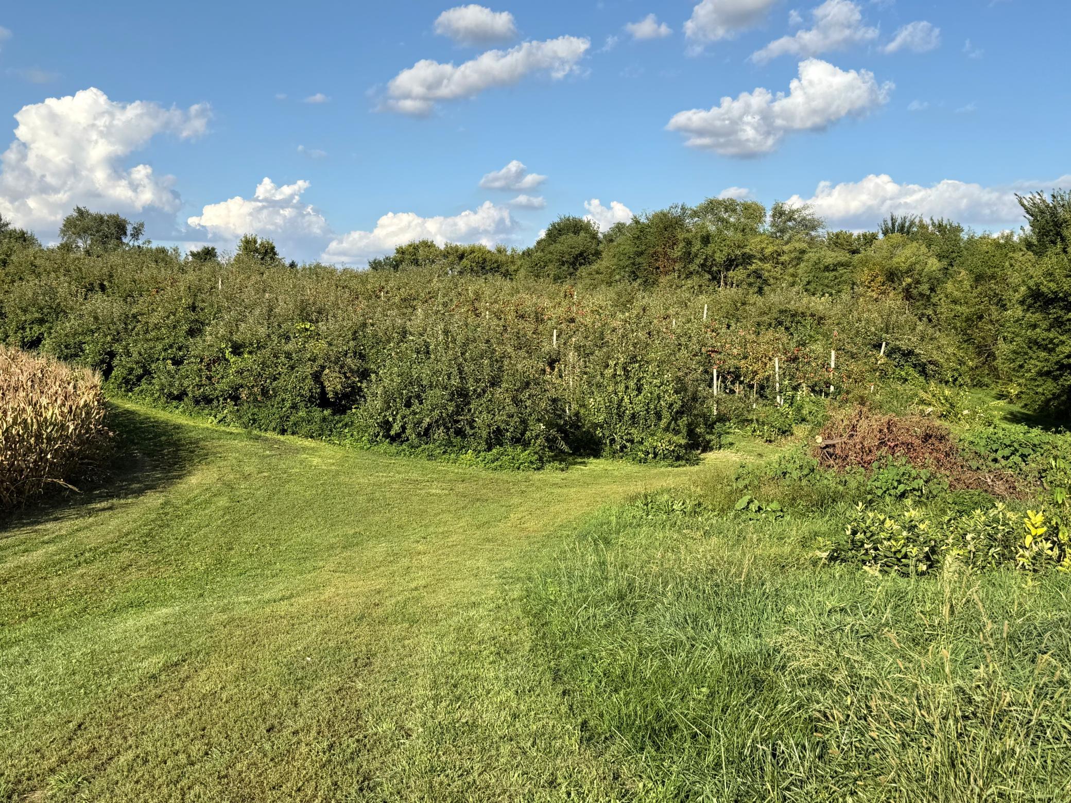 main property photo 7