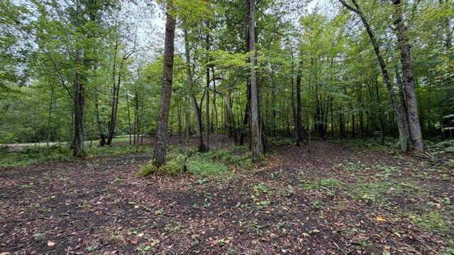 main property photo 26