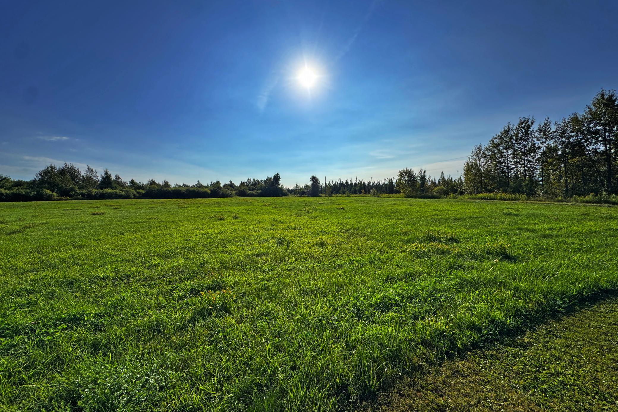 main property photo 58