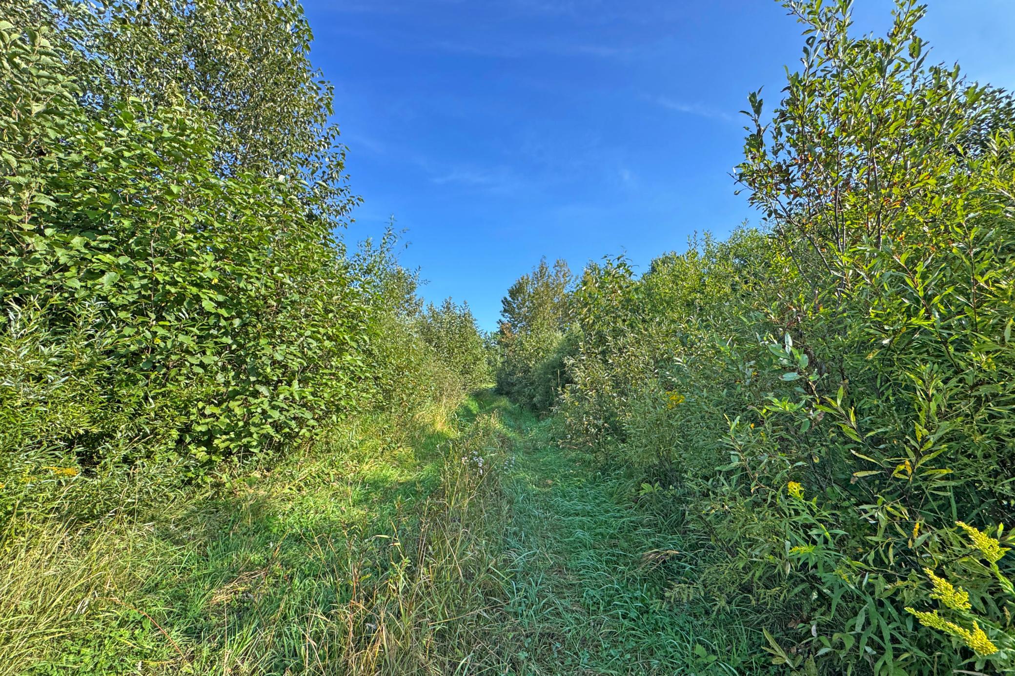 main property photo 67