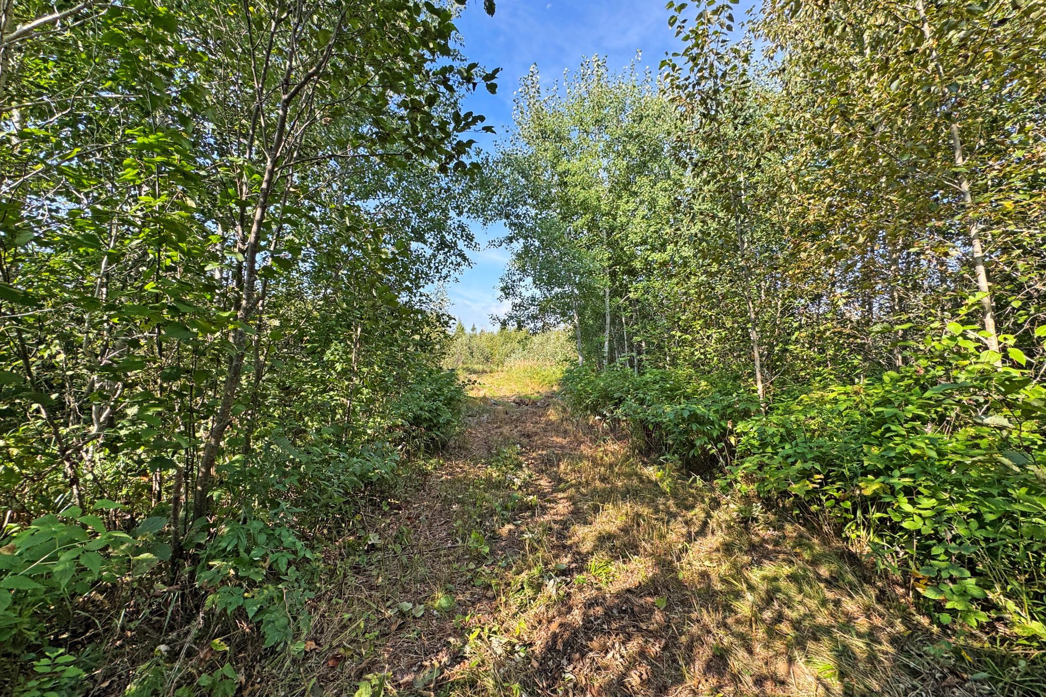 main property photo 74