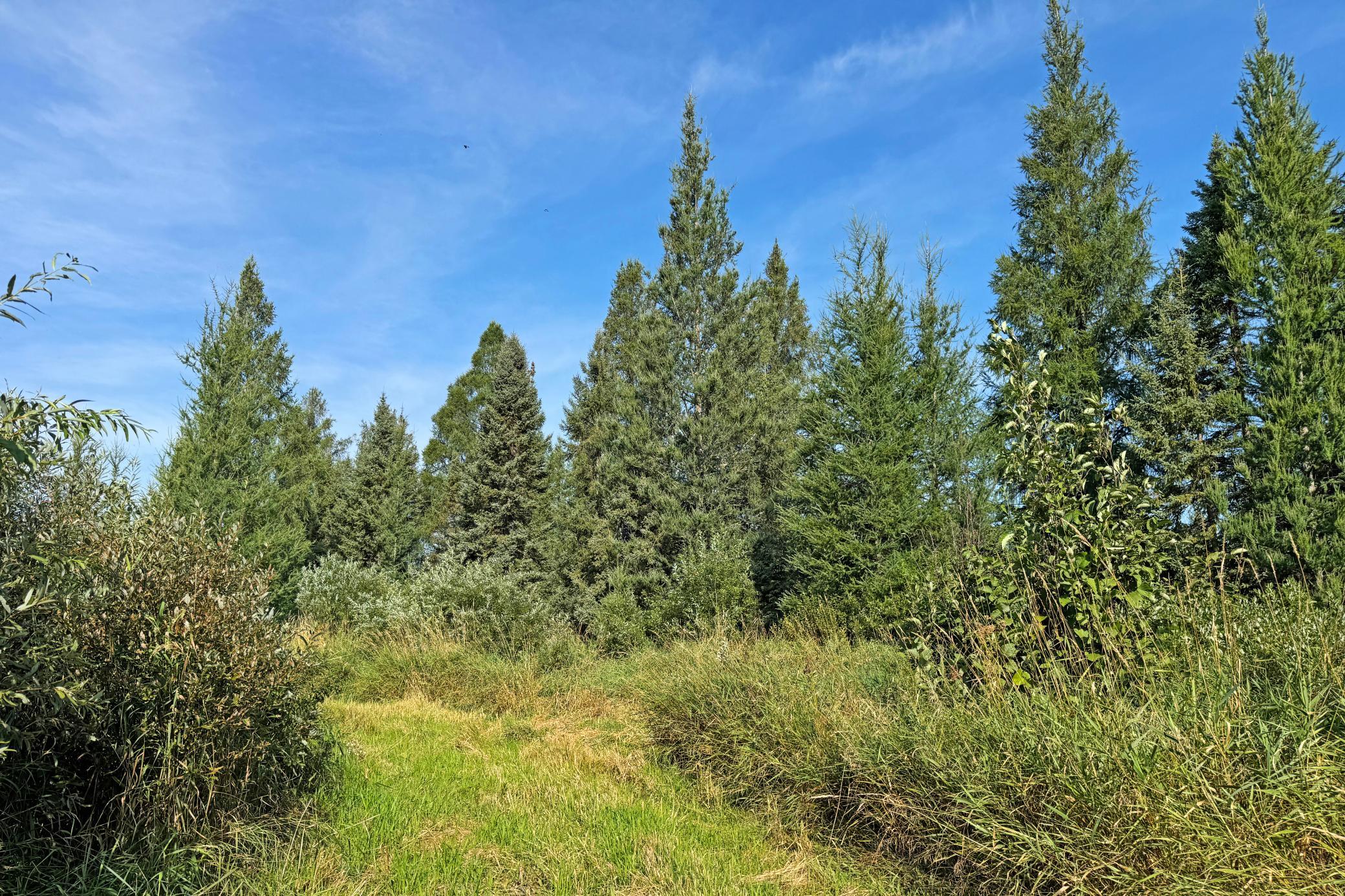 main property photo 77