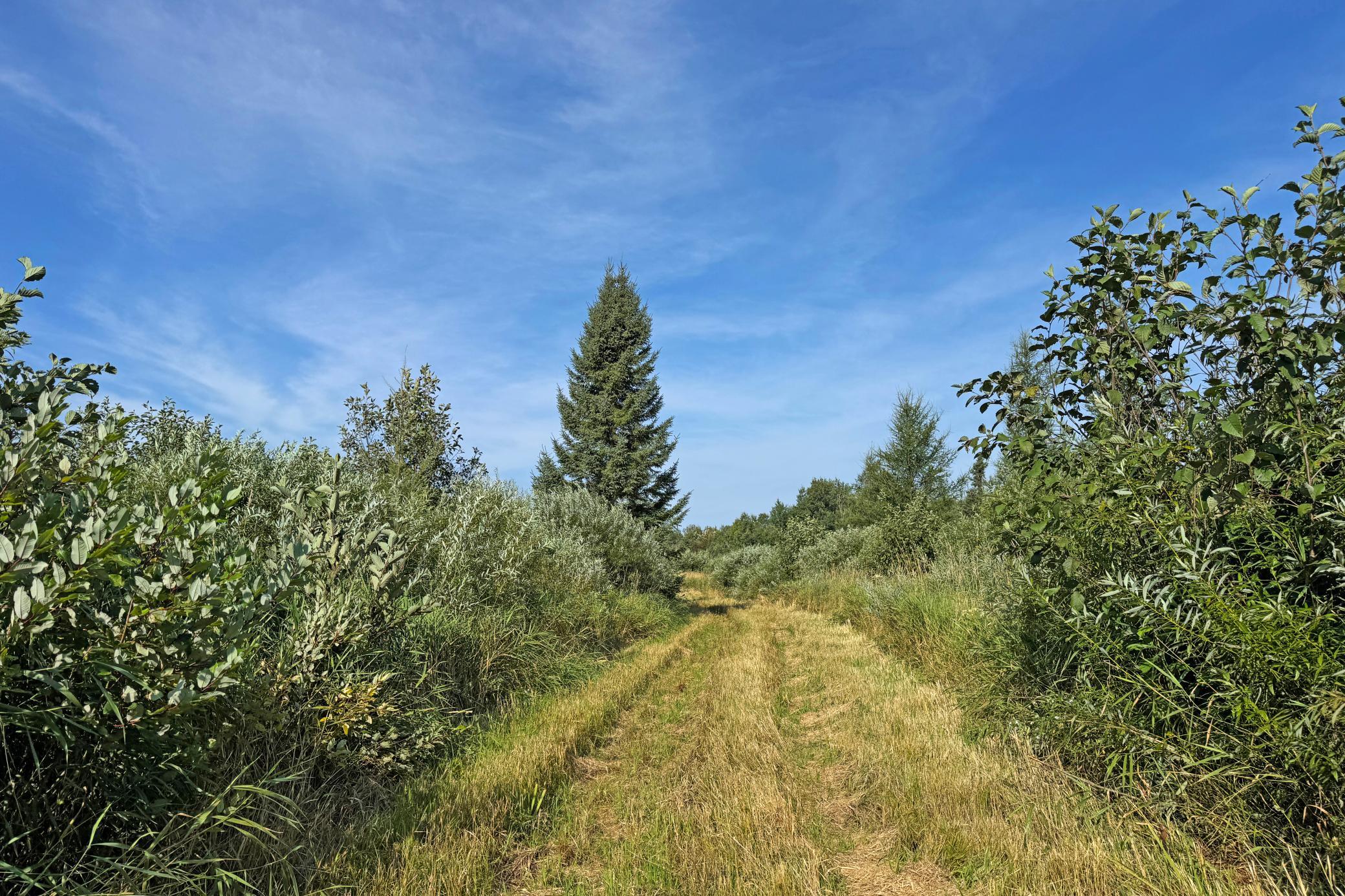 main property photo 78