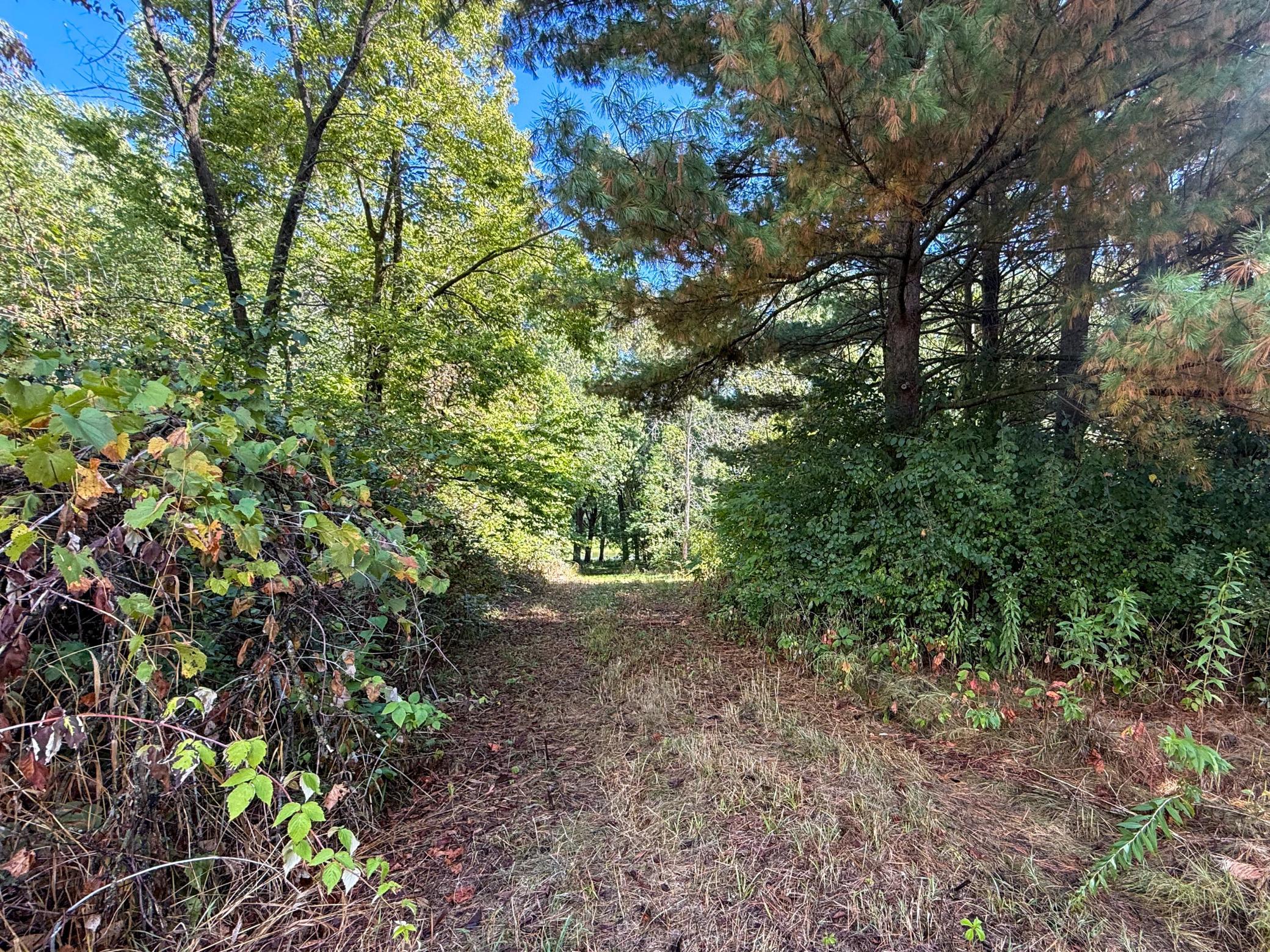 main property photo 16
