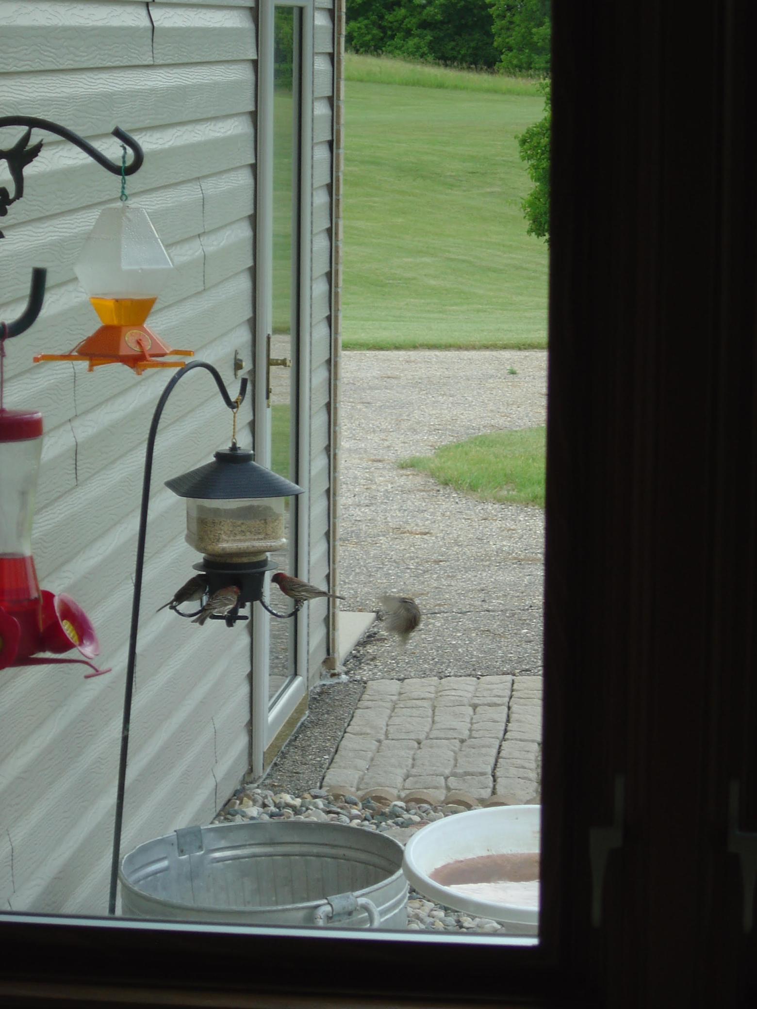 main property photo 48