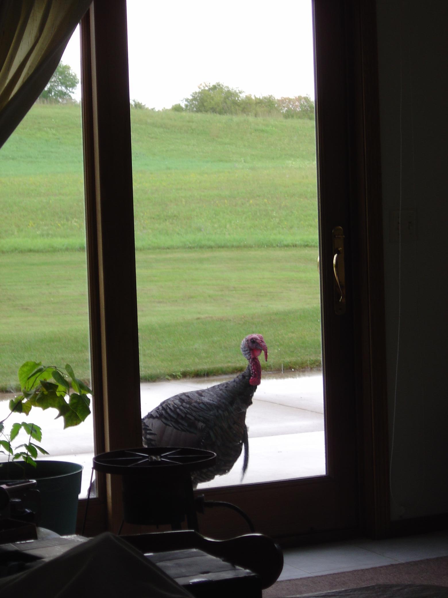 main property photo 51