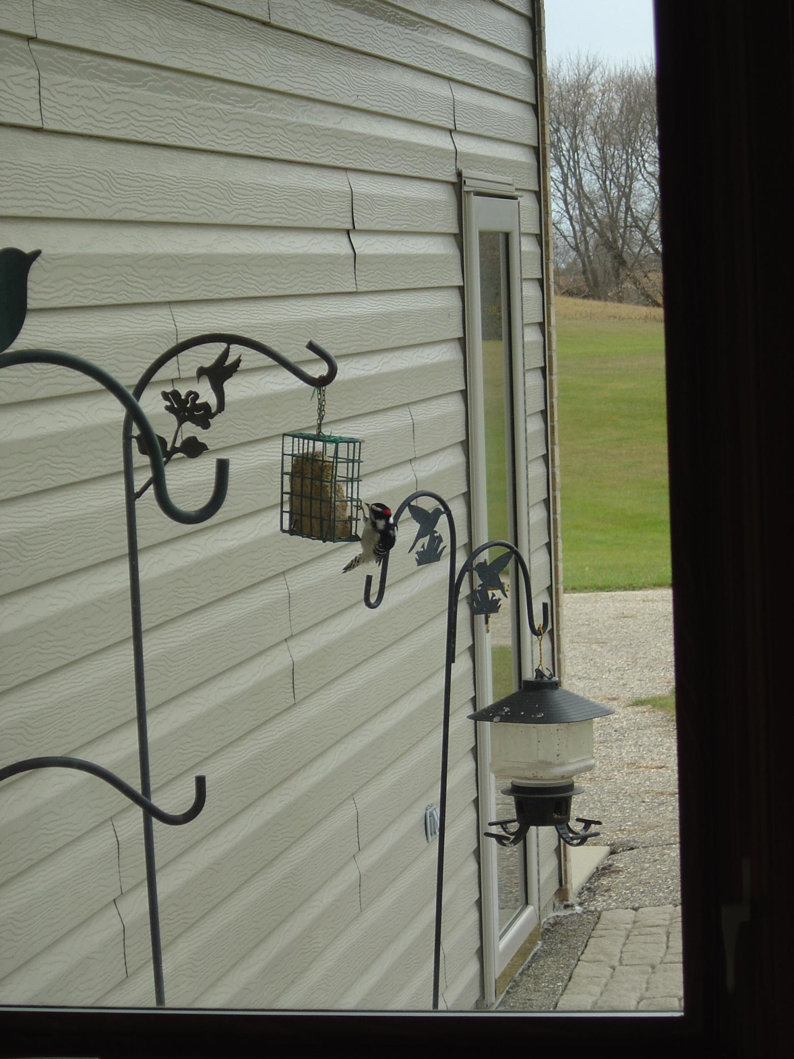 main property photo 52