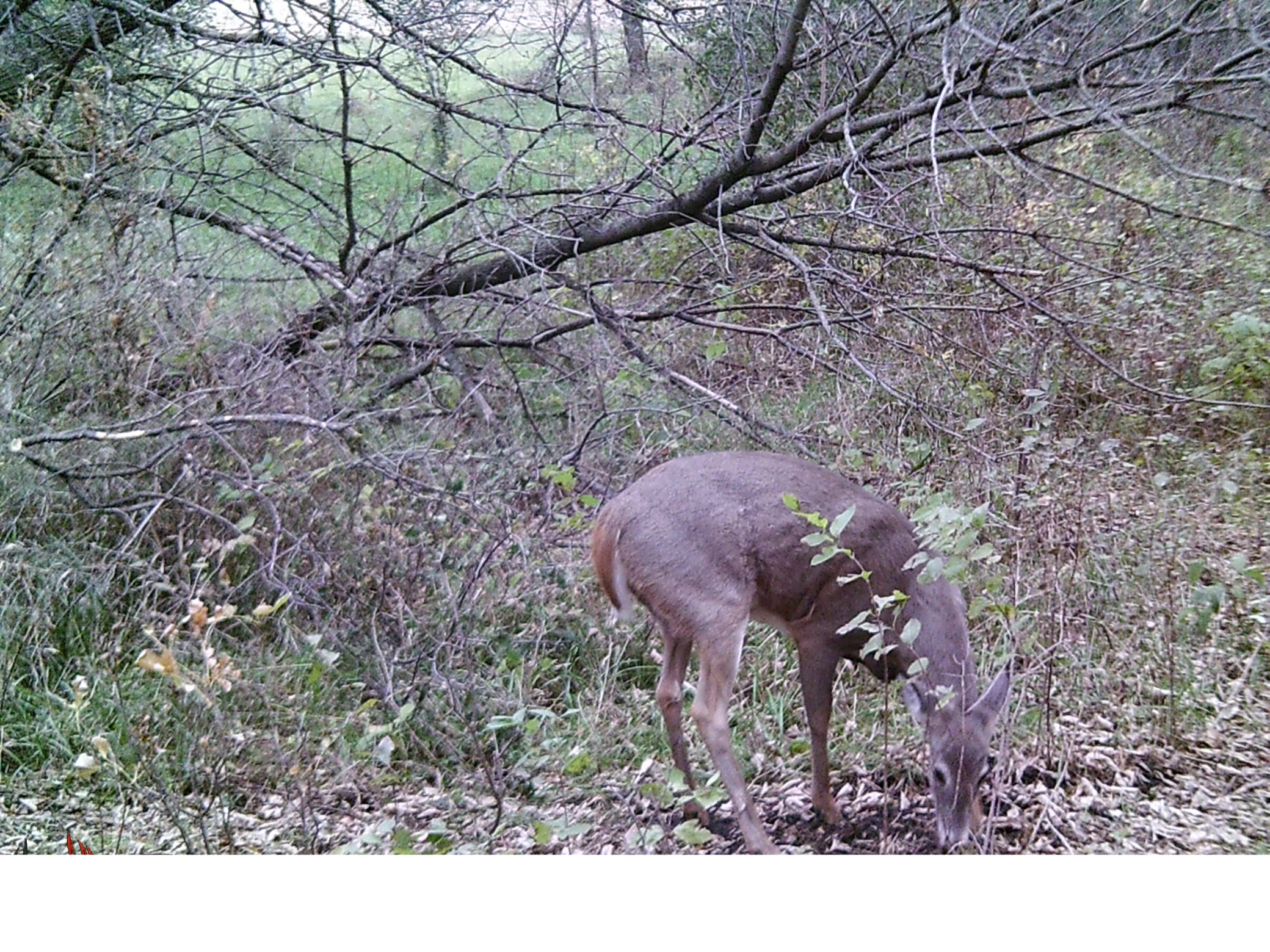 main property photo 55
