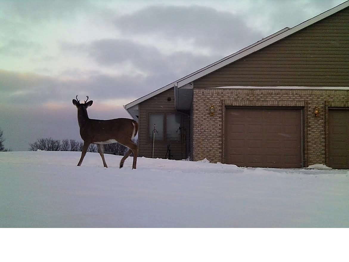 main property photo 56
