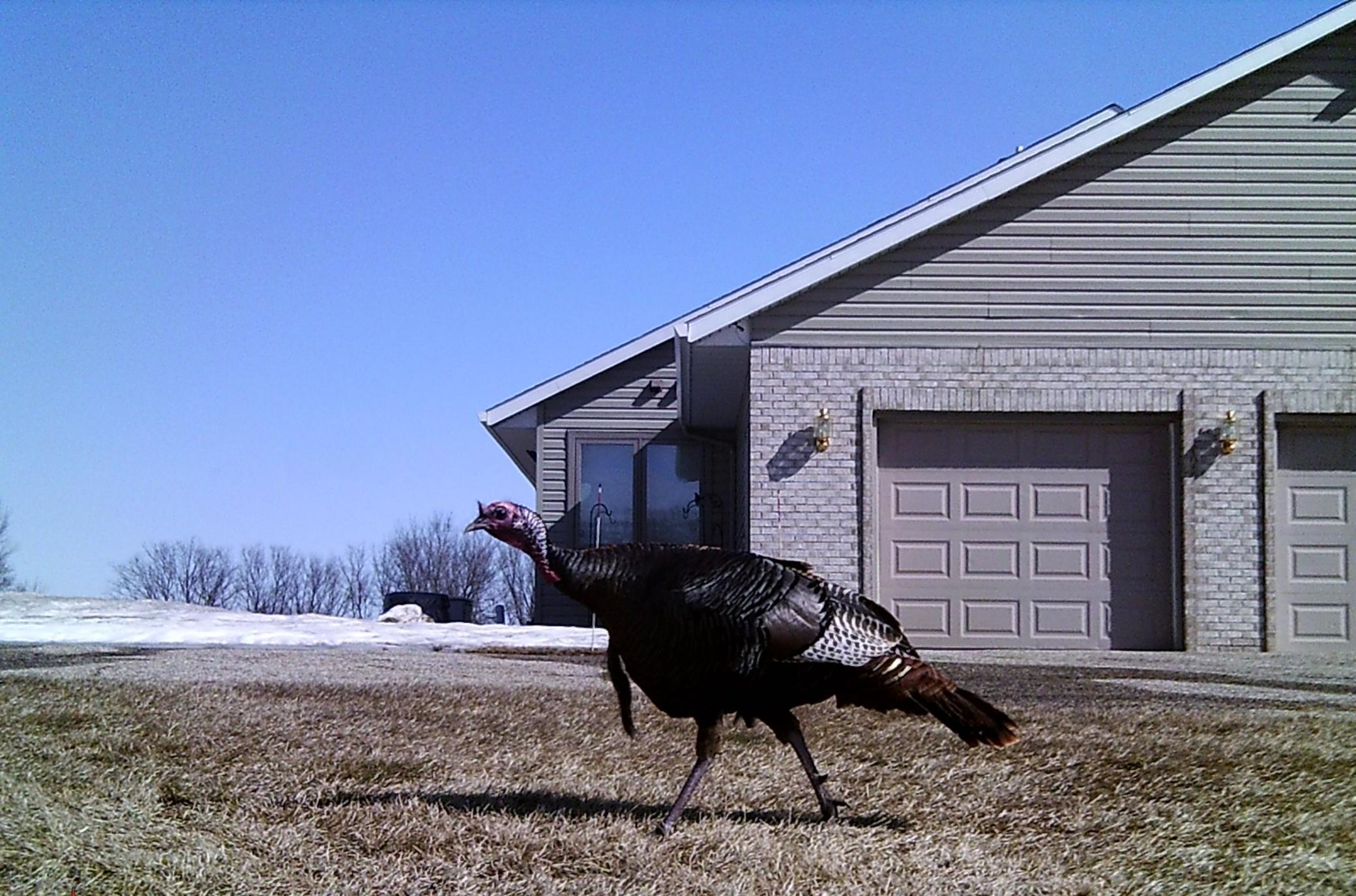 main property photo 57