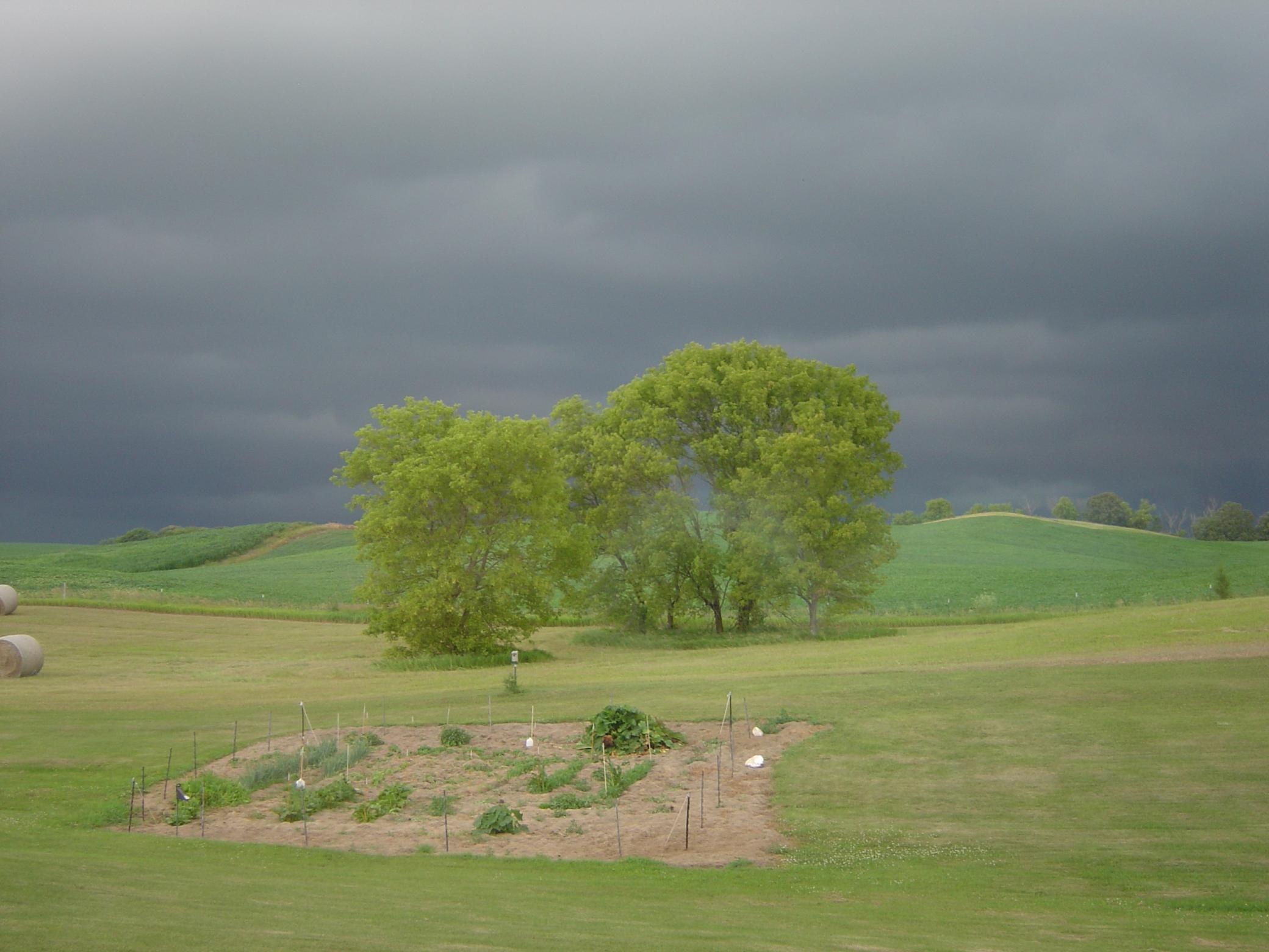 main property photo 59