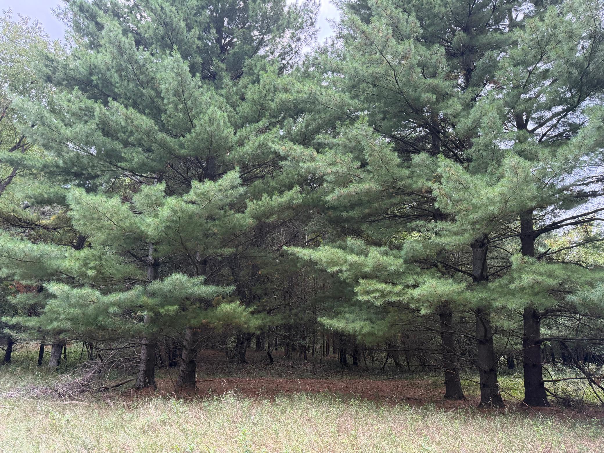 main property photo 83
