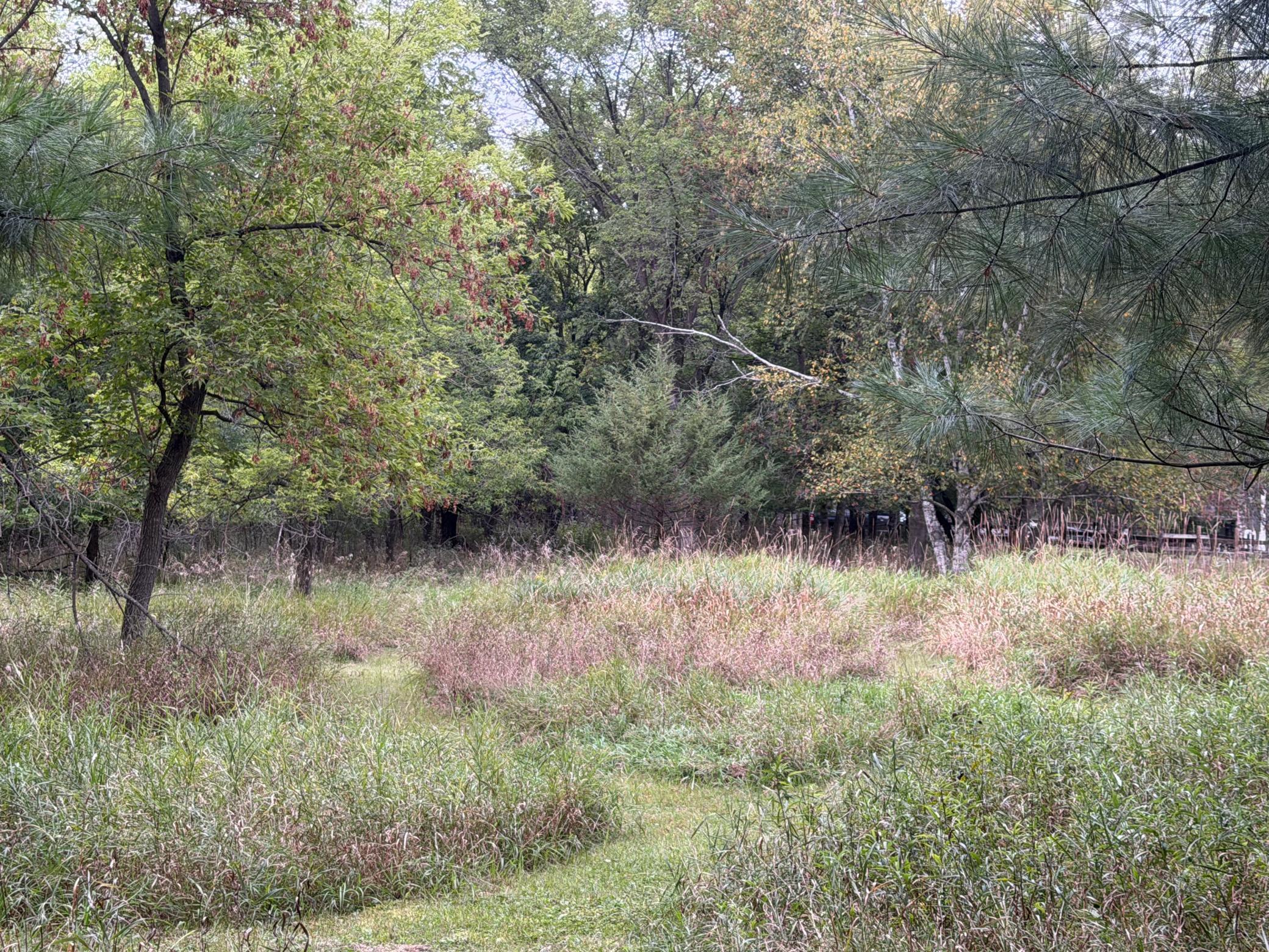 main property photo 87