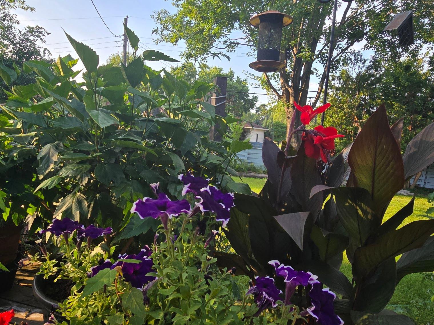 main property photo 52