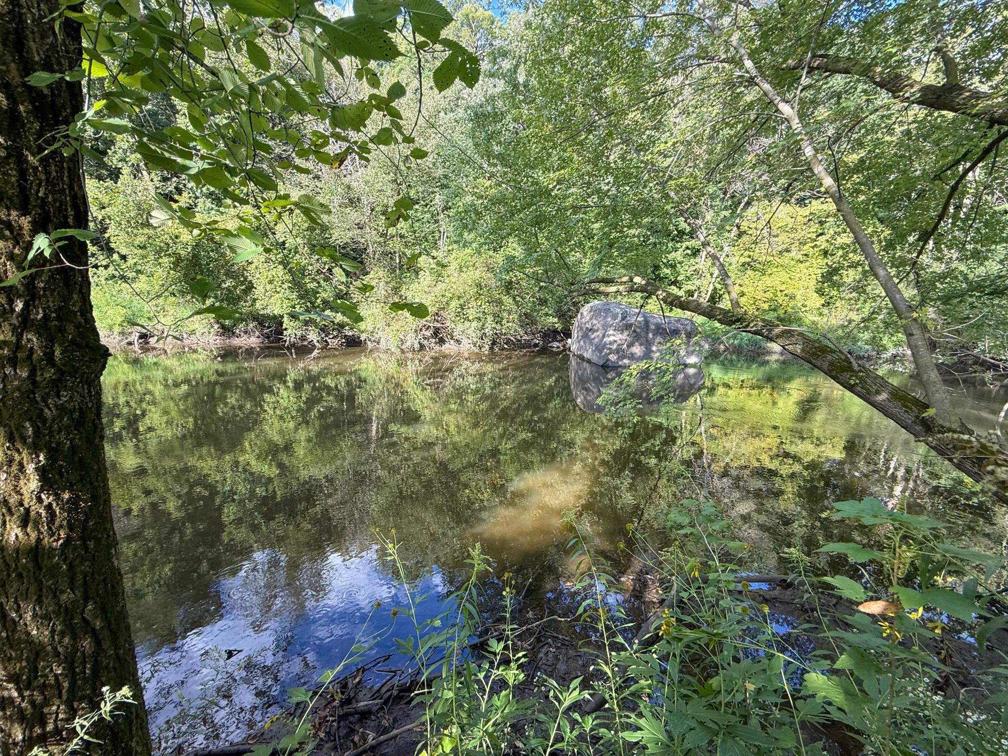 main property photo 61