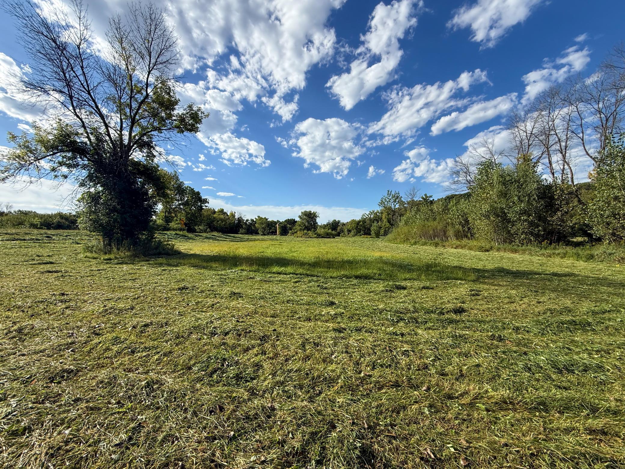 main property photo 64