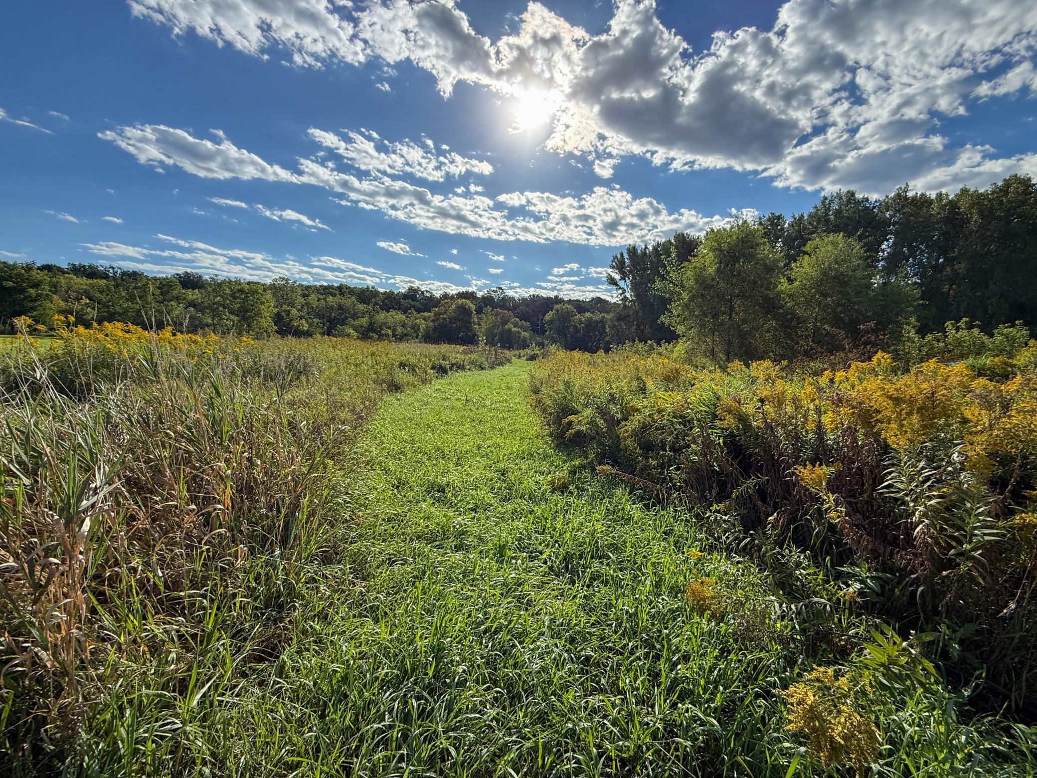 main property photo 67