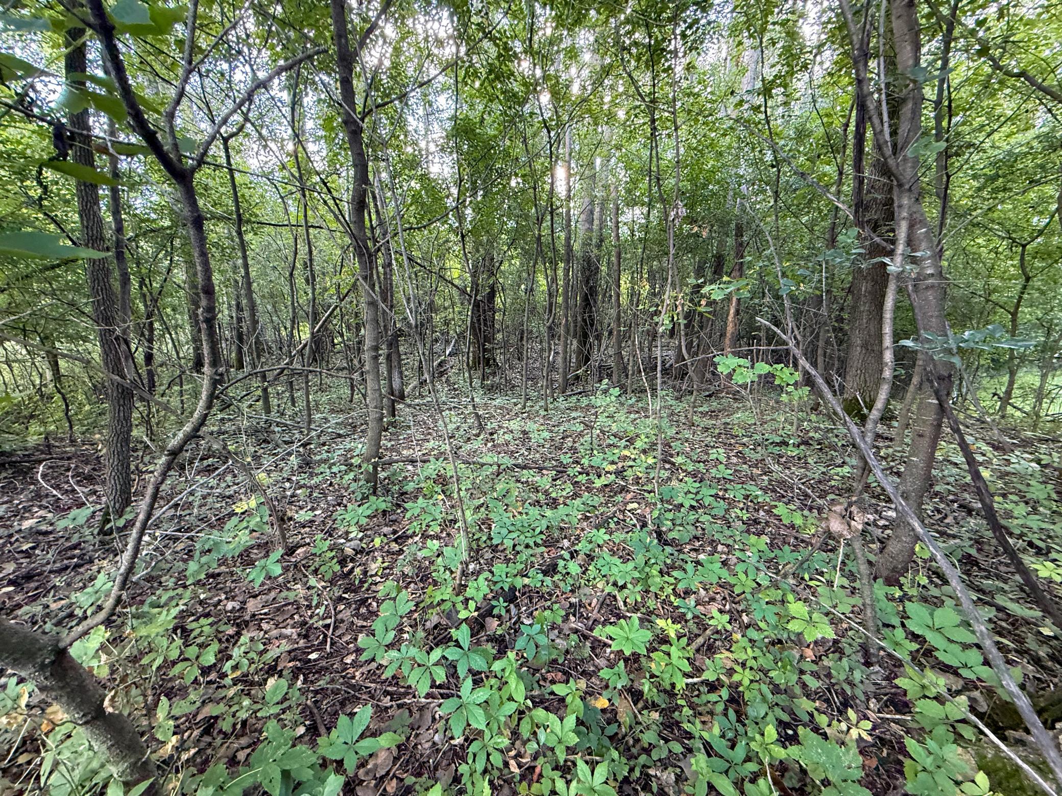 main property photo 68