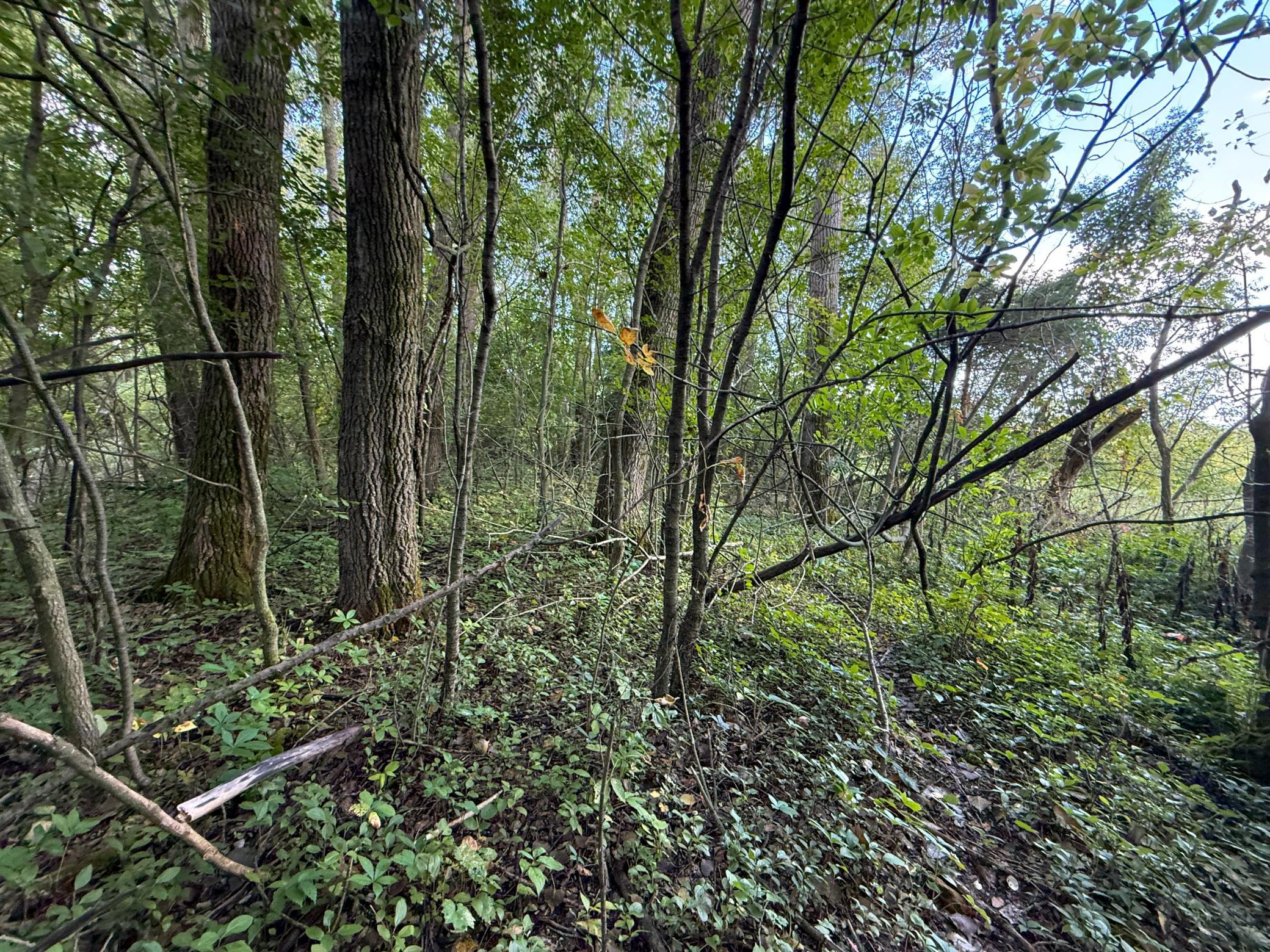 main property photo 69