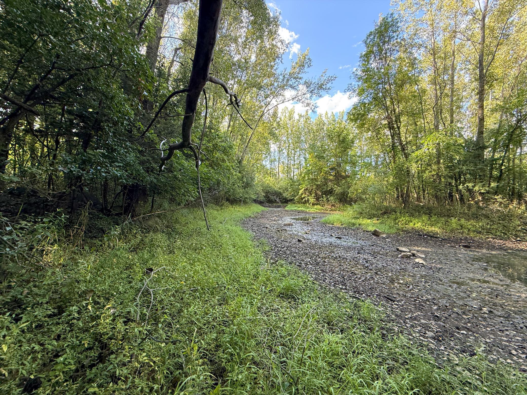 main property photo 71