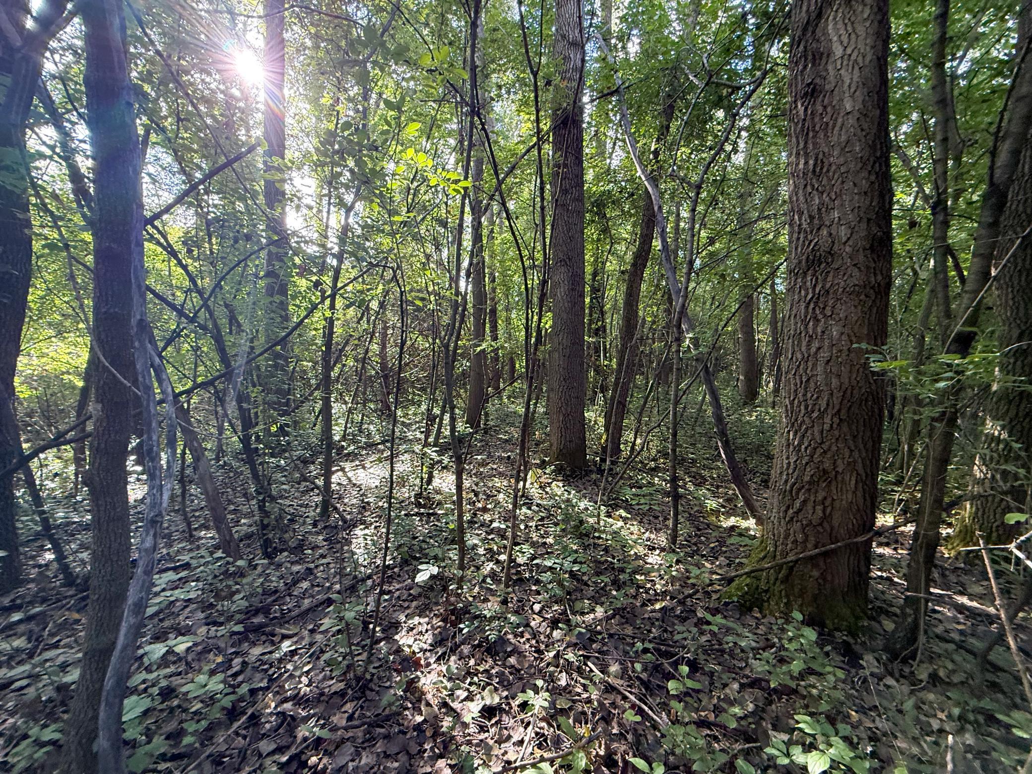main property photo 72