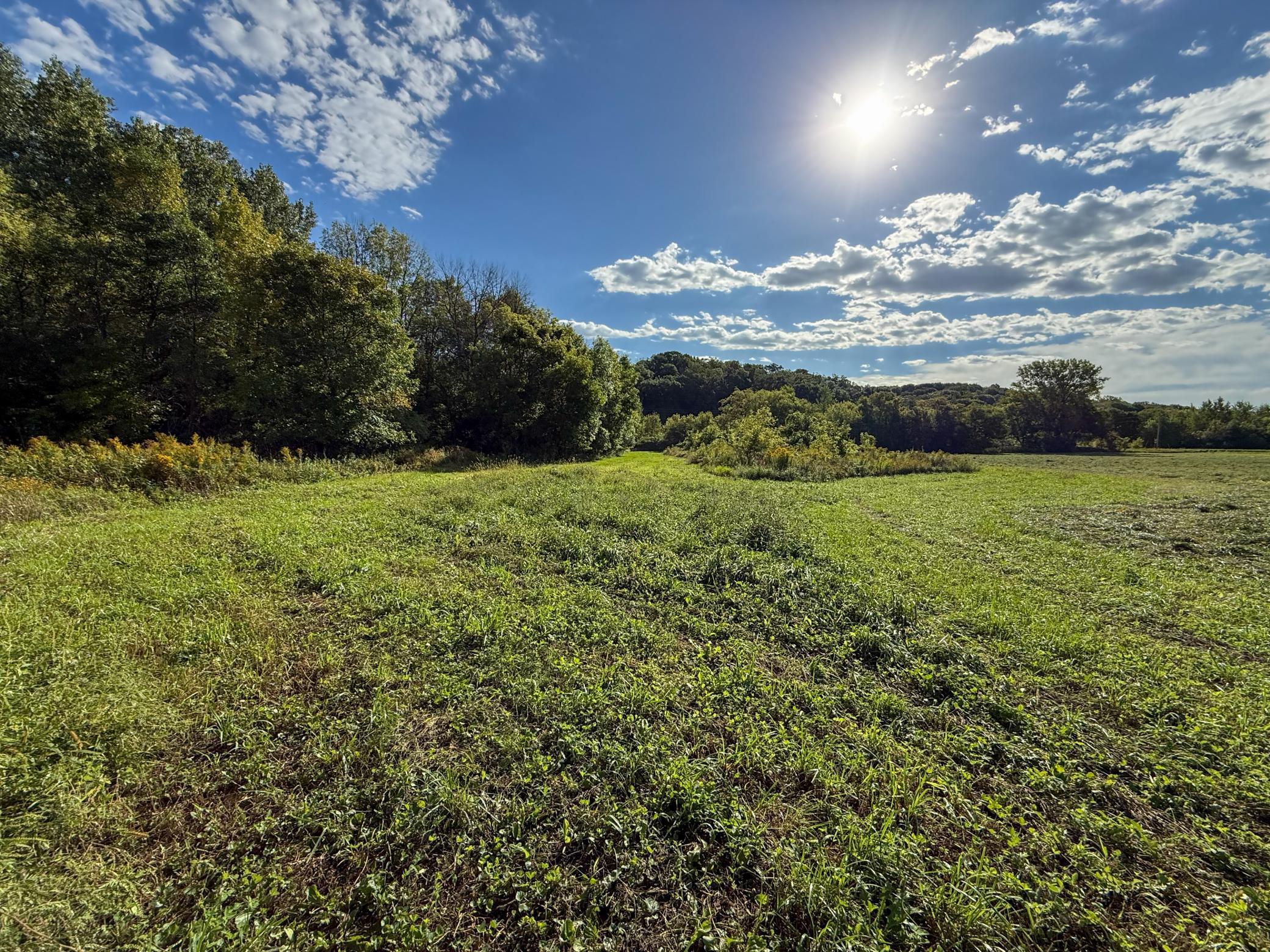 main property photo 74