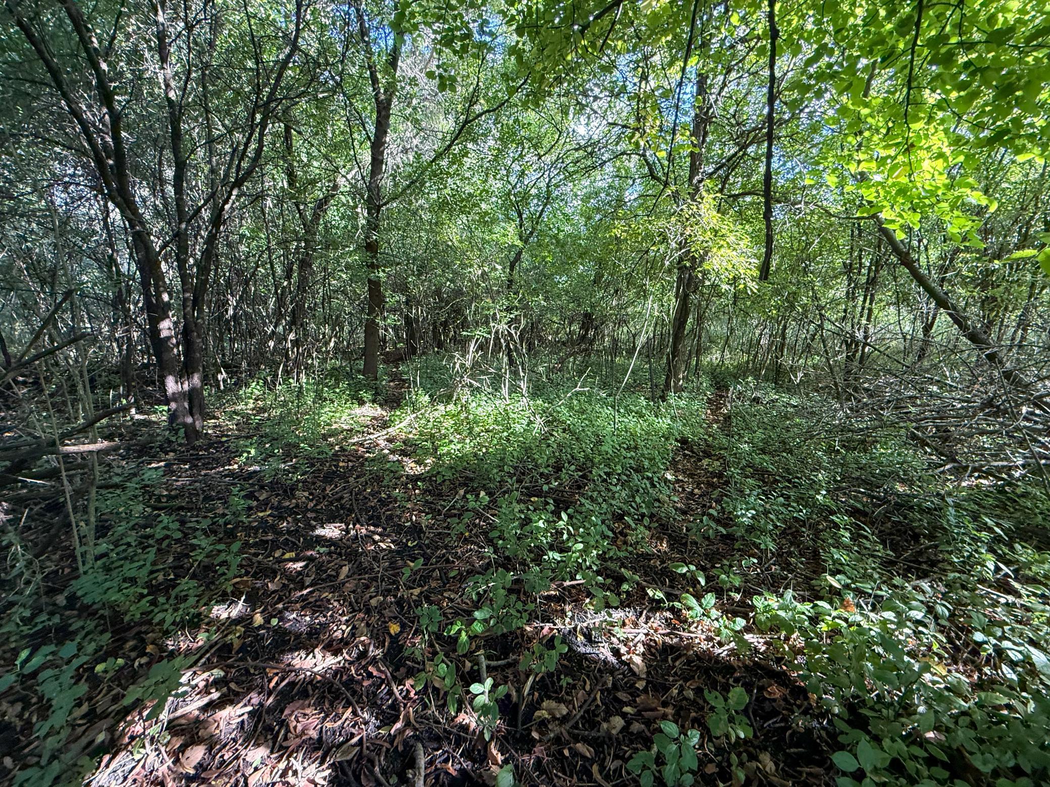 main property photo 77