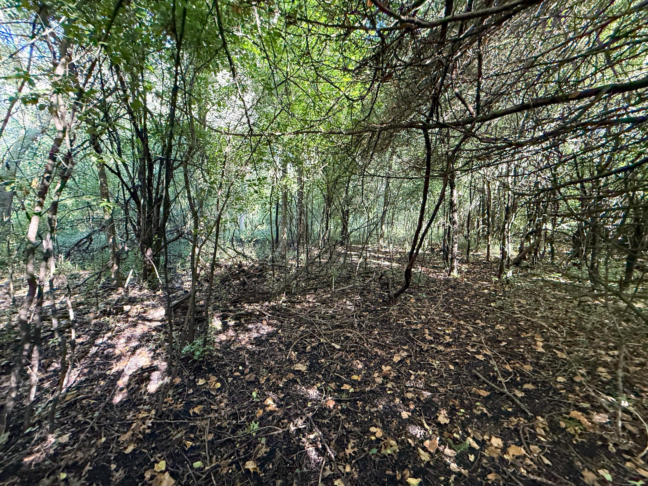 main property photo 78