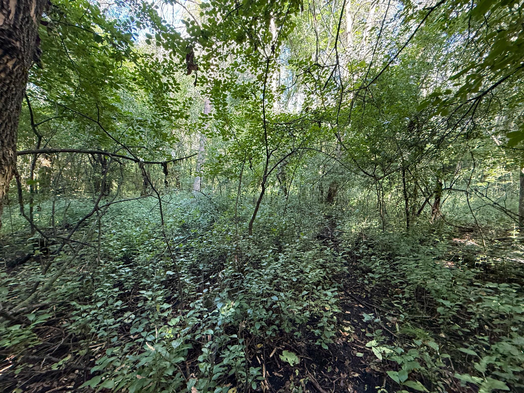 main property photo 79