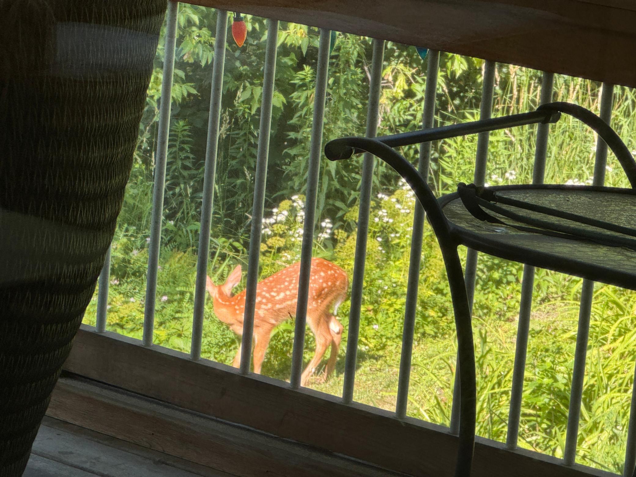 main property photo 47