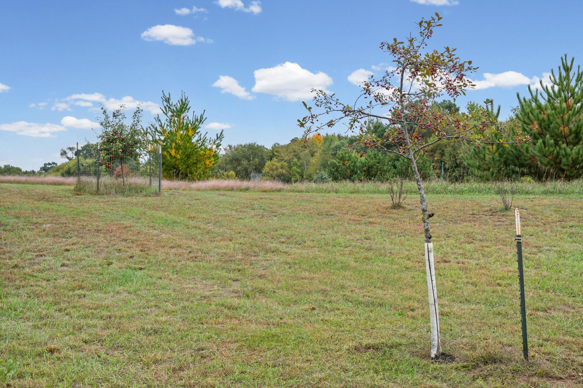 main property photo 64